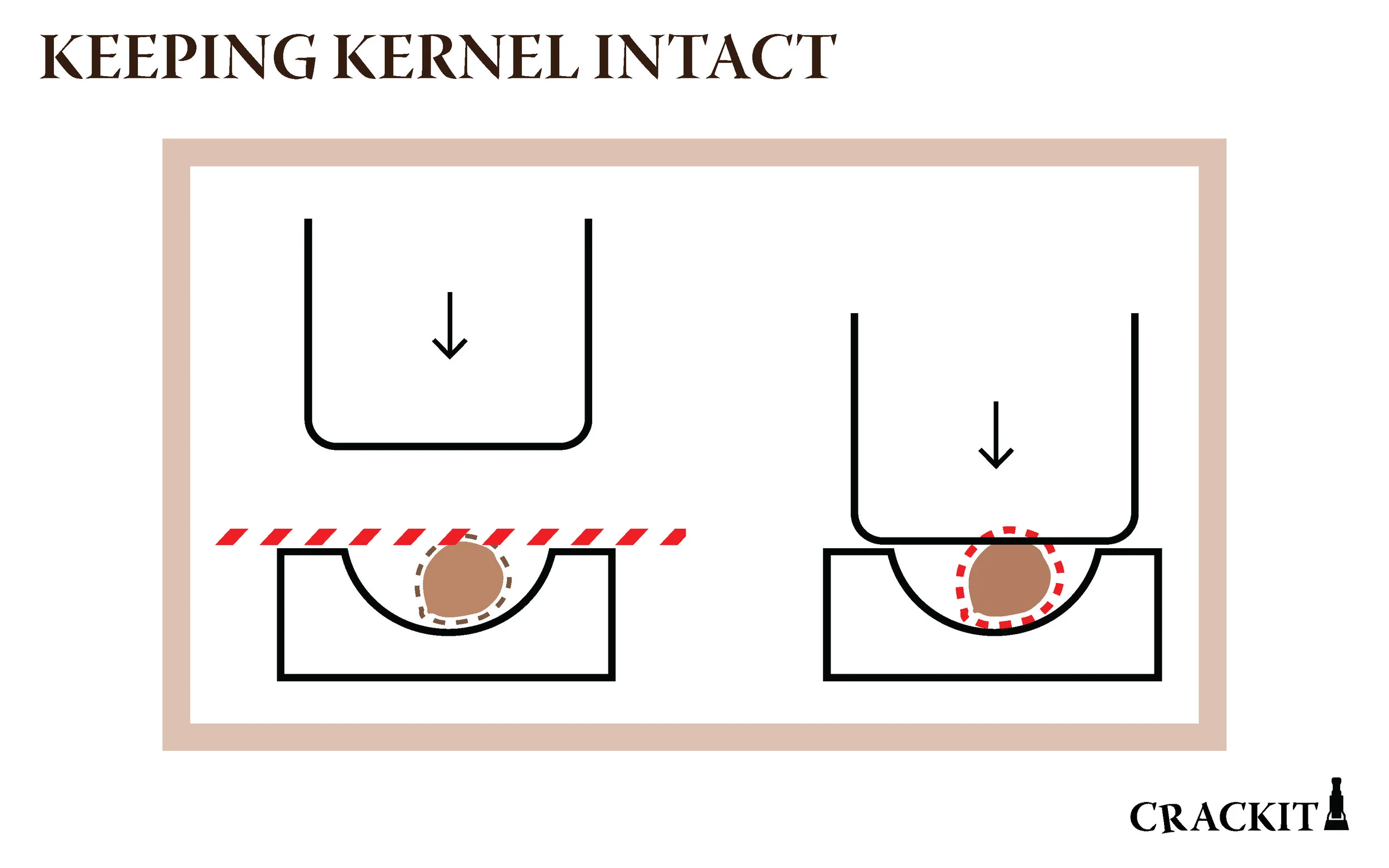 nutcracker final presentation_Page_6.jpg
