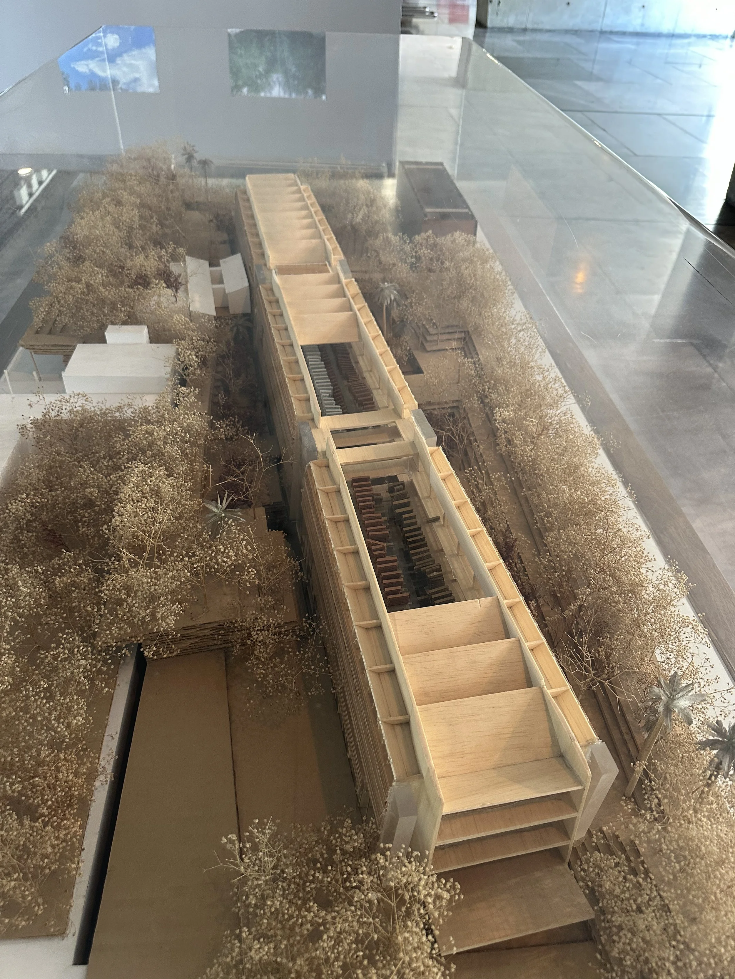 Vasconcelos Library Model