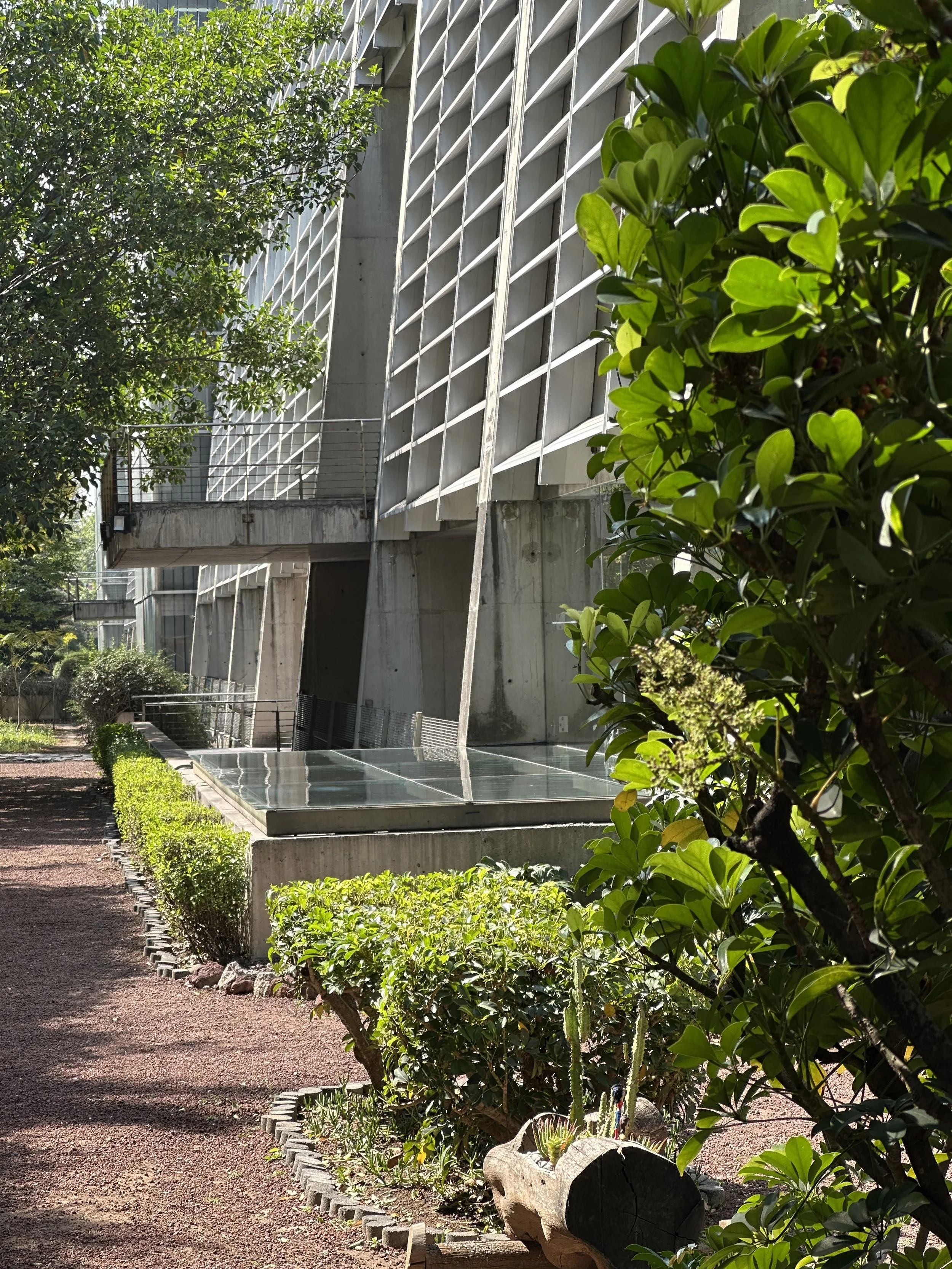 Vasconcelos Library Facade in Landscape