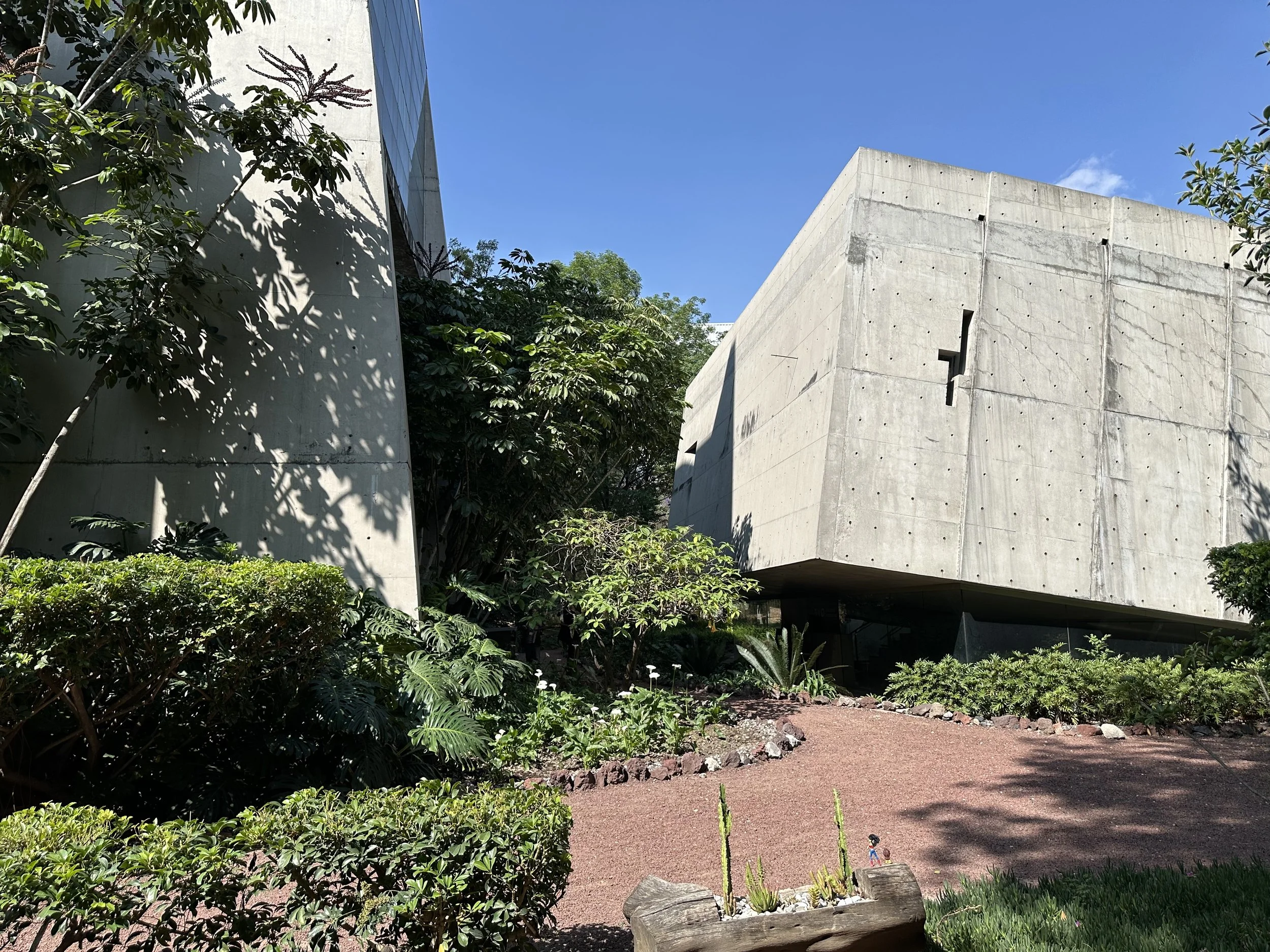 Vasconcelos Library Exterior Landscaping