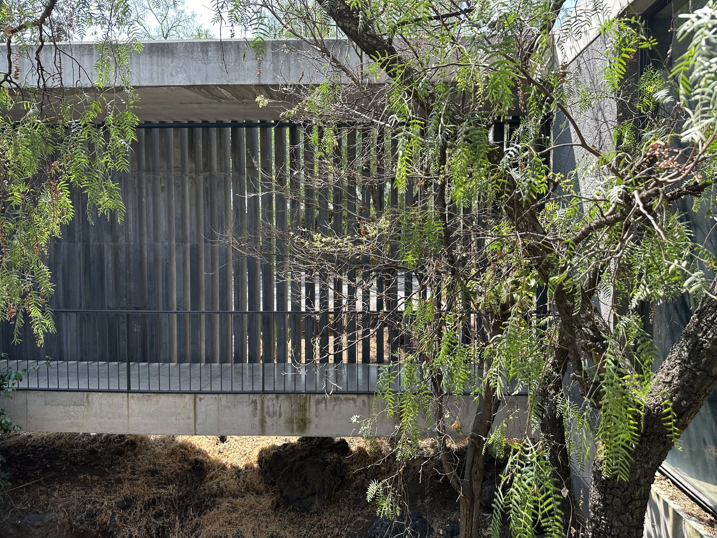 Mauricio Rocha EXtension Courtyard Facade