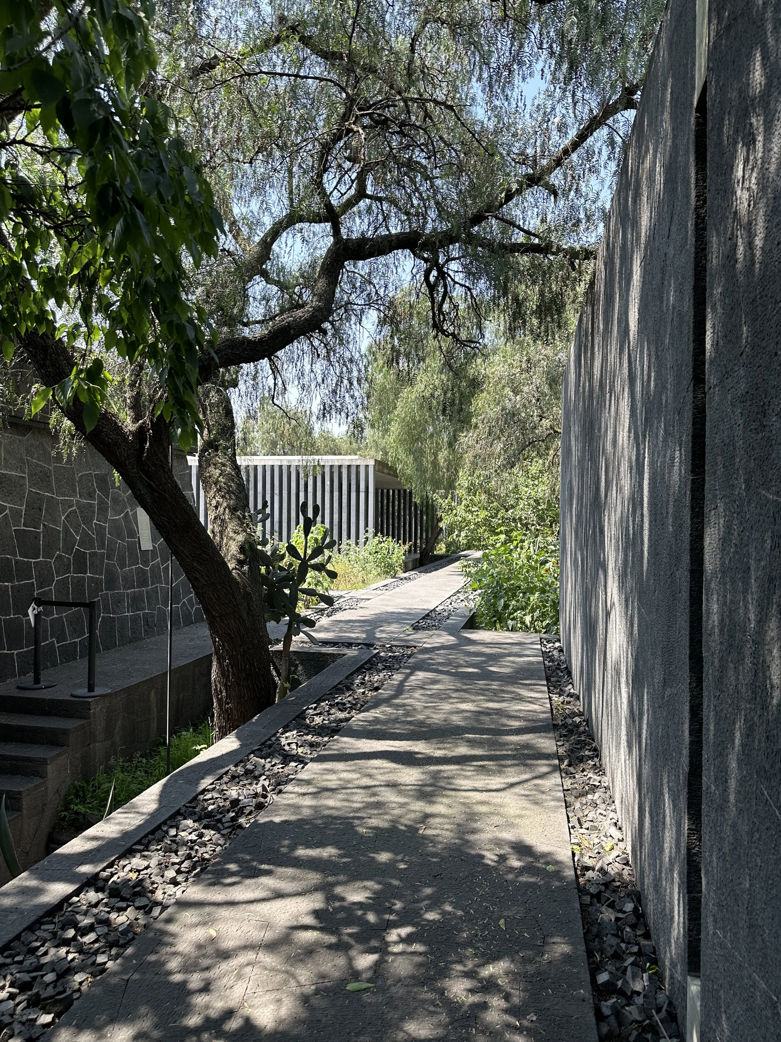 Mauricio Rocha Extention Entrance