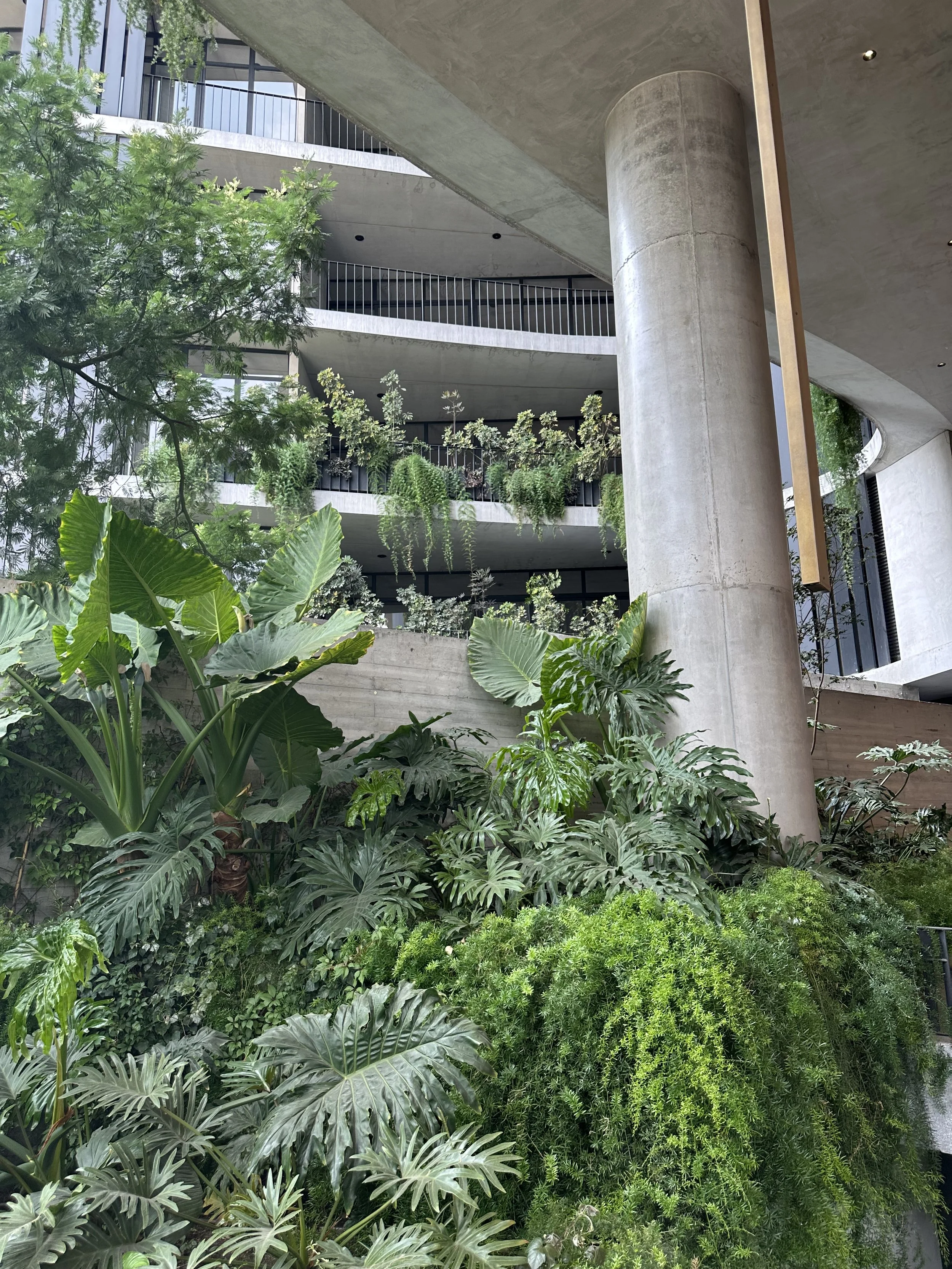 Pedre Garden