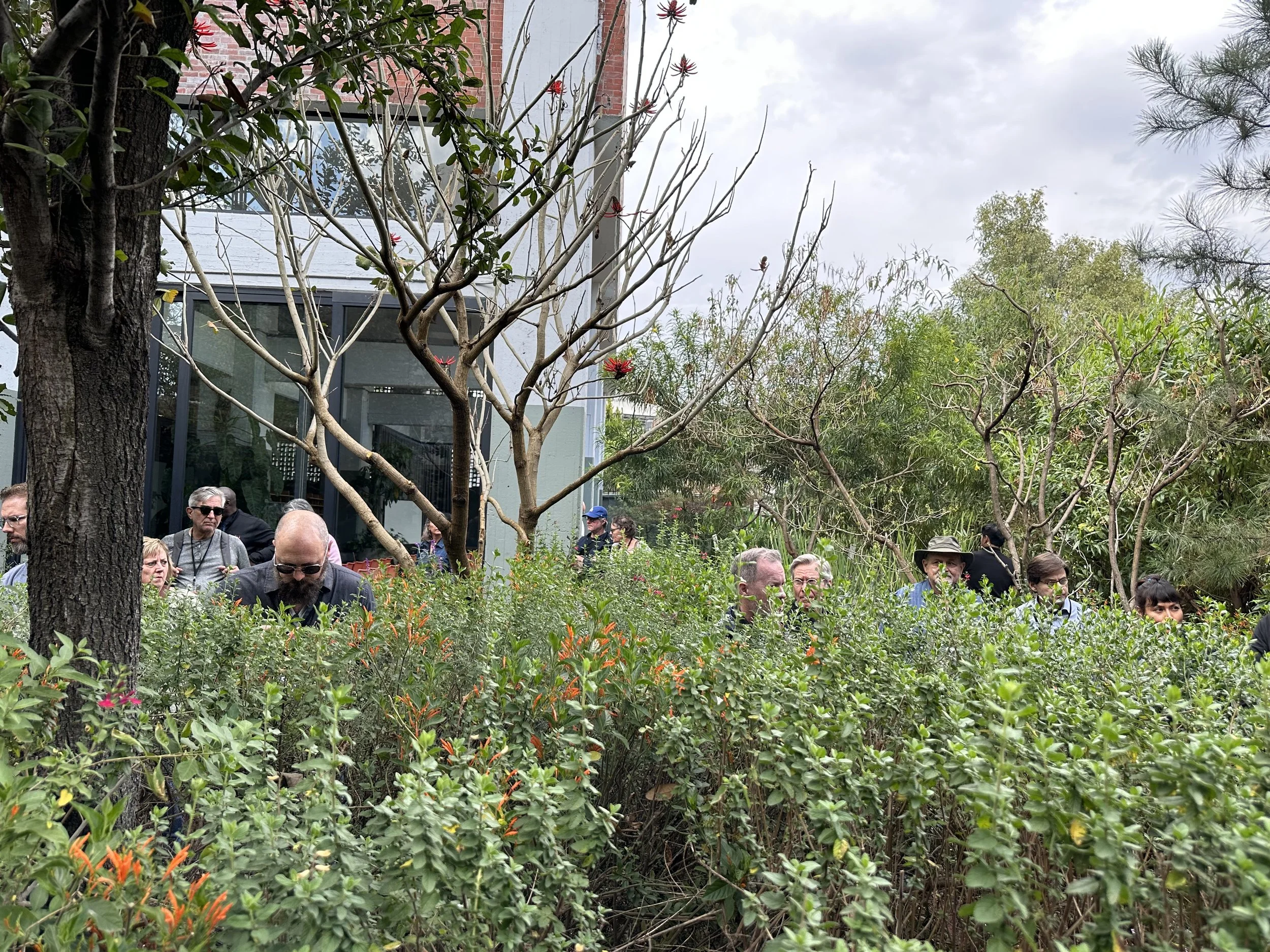 JSa Fabrica do Hielo tour group in vegetation