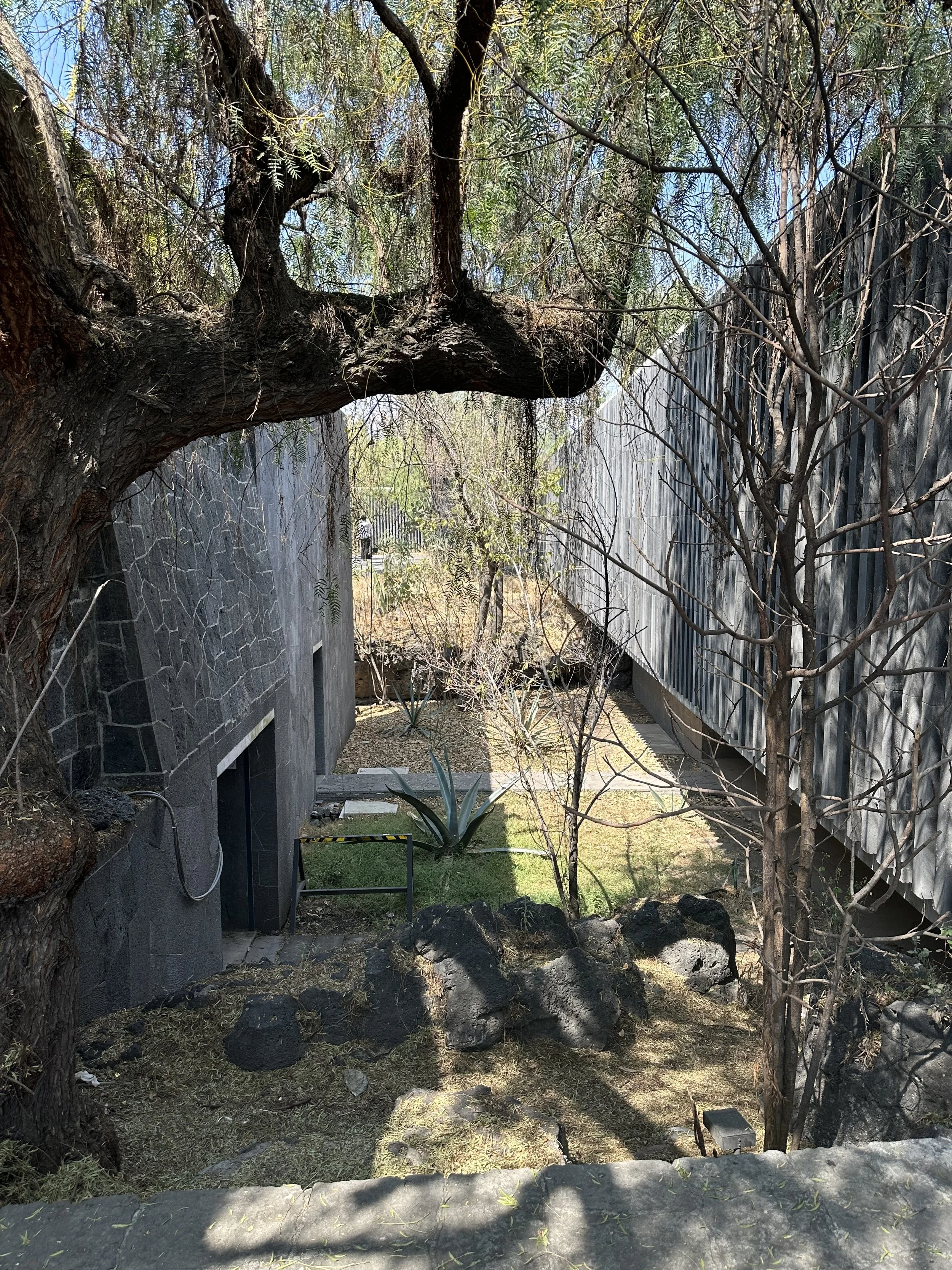 Mauricio Rocha Extention Raised walk around Sunken Courtyard