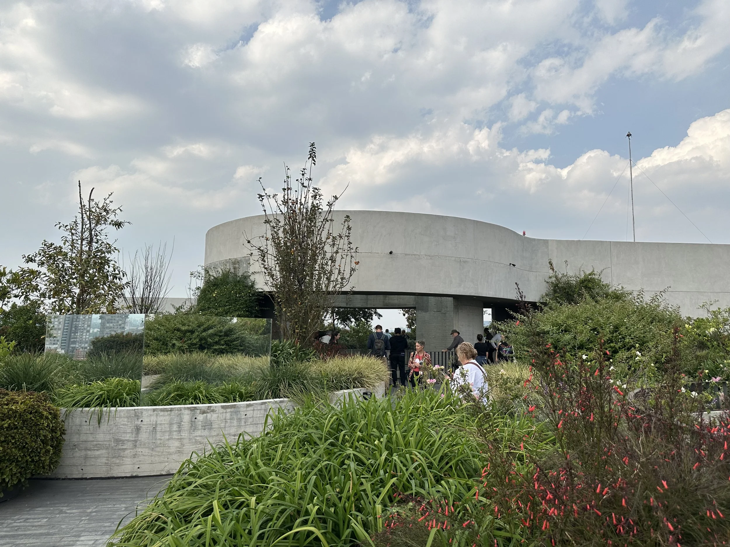 Pedre Rooftop Garden