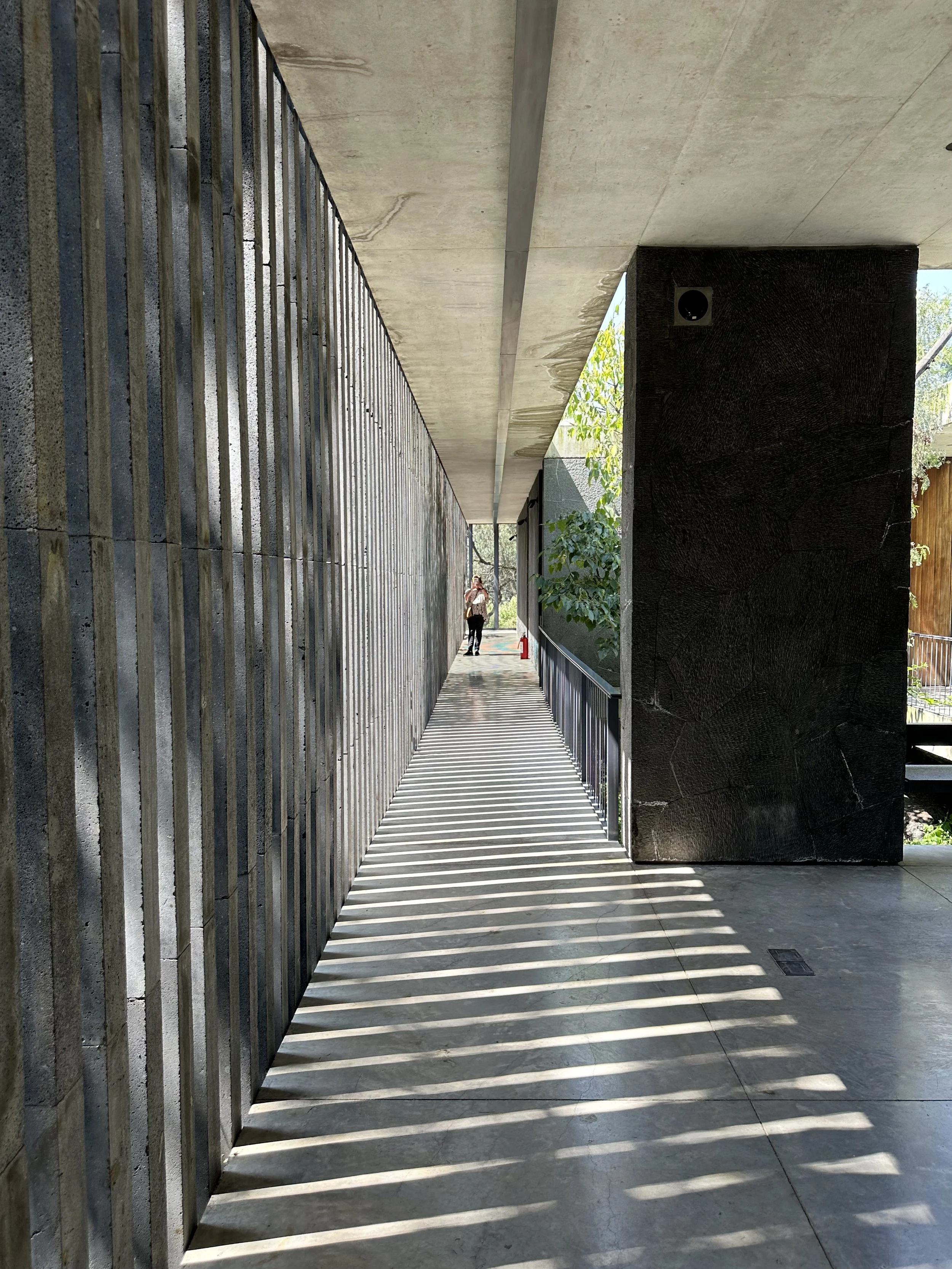 Mauricio Rocha Extention Screened Exterior Hall