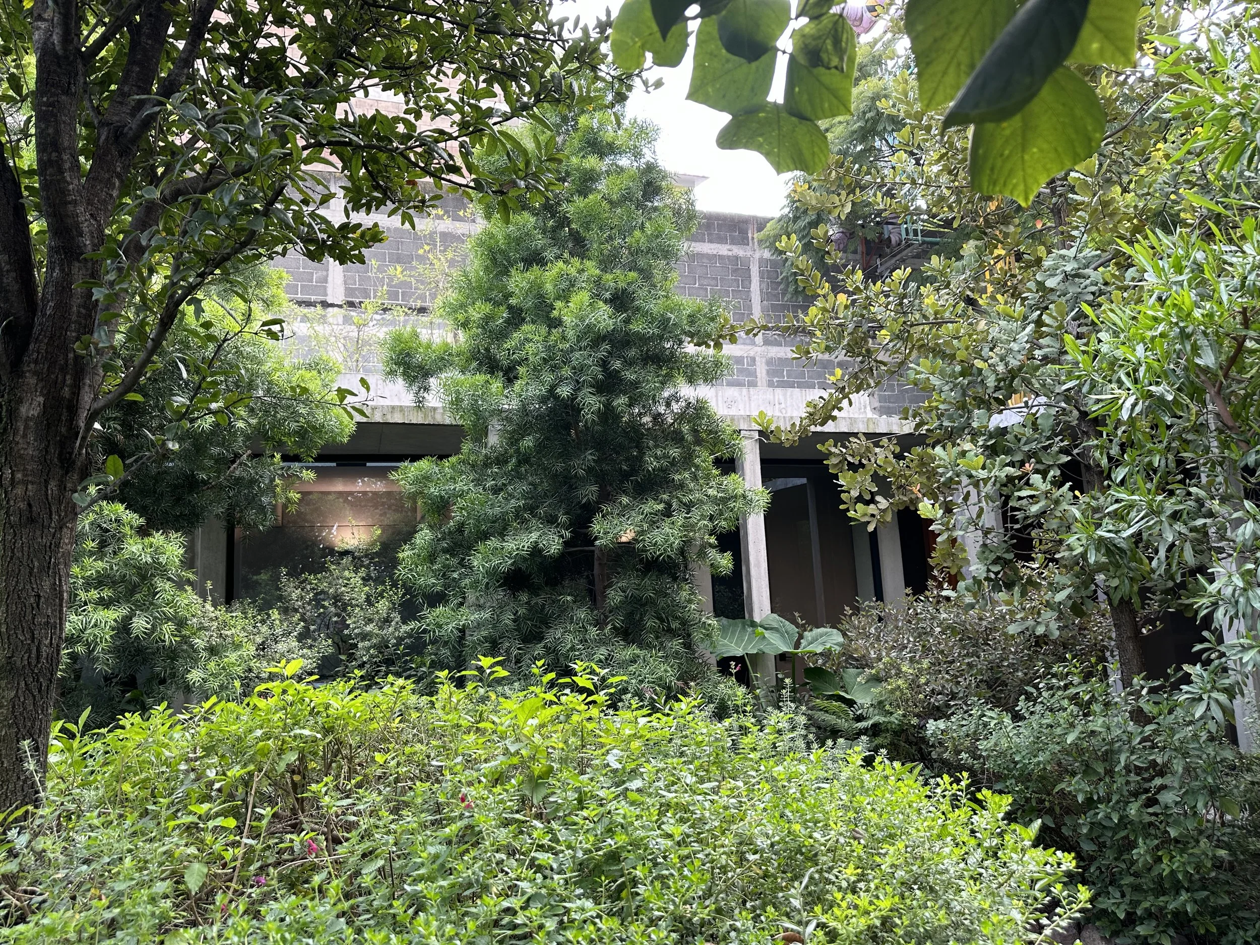 JSa Fabrica do Hielo Landscaped Garden