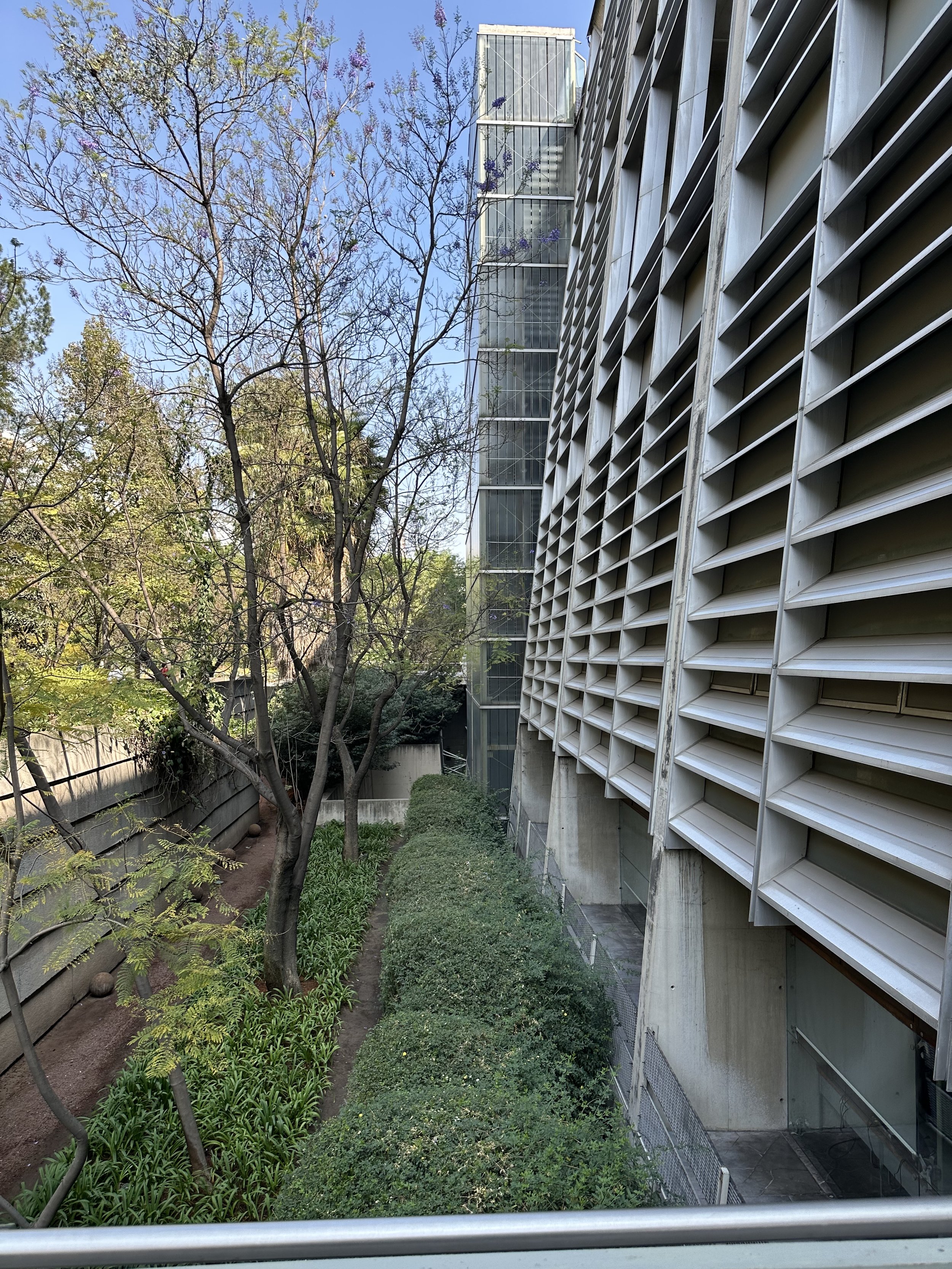 Vasconcelos Library Entrance Bridge