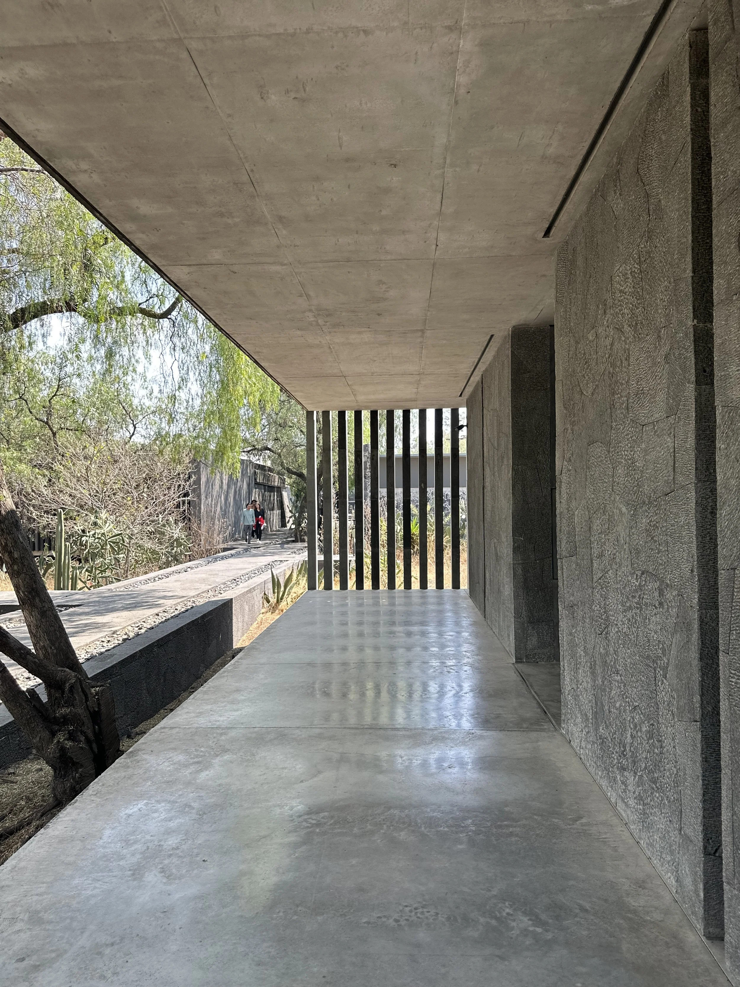 Mauricio Rocha Extention Screened Porch