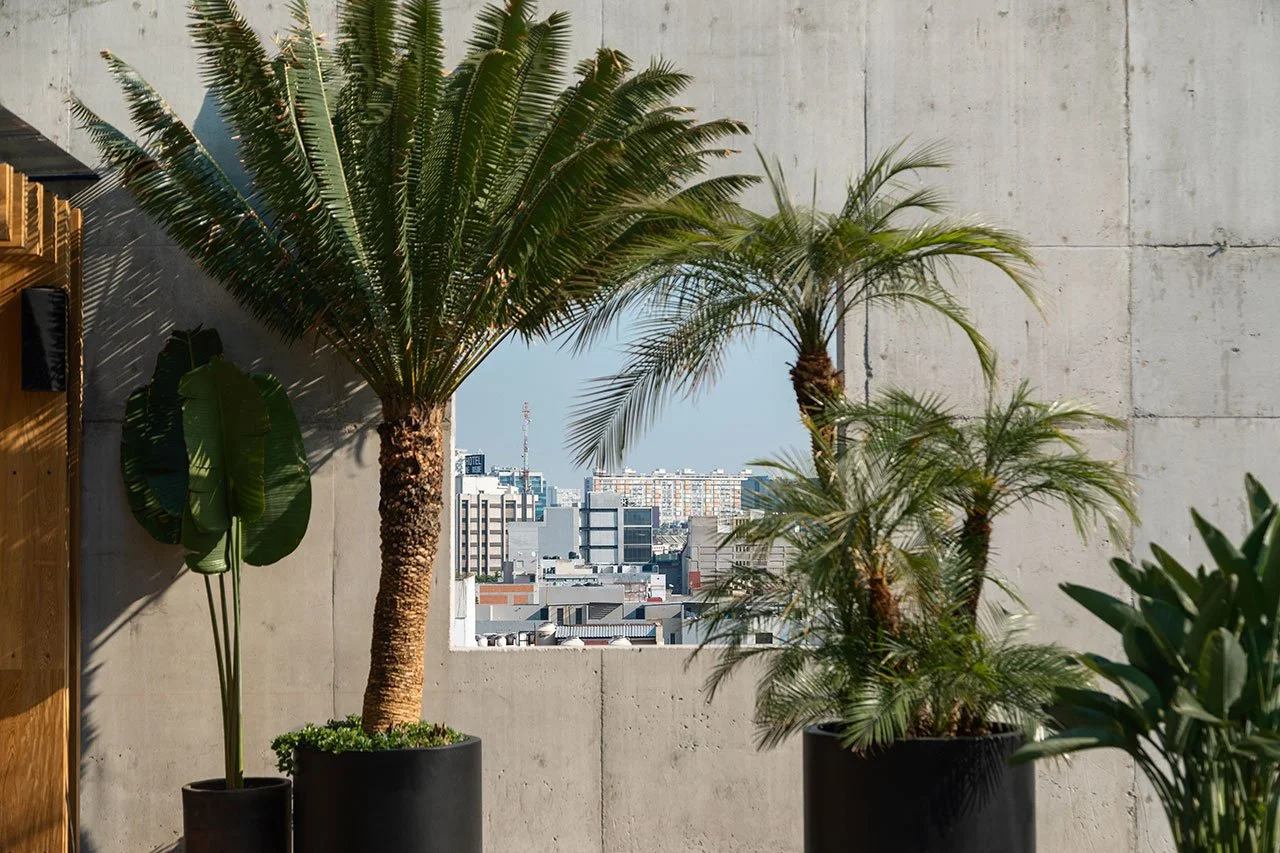 JSa Hotel Volga Window cut out on roof framing the City Skyline