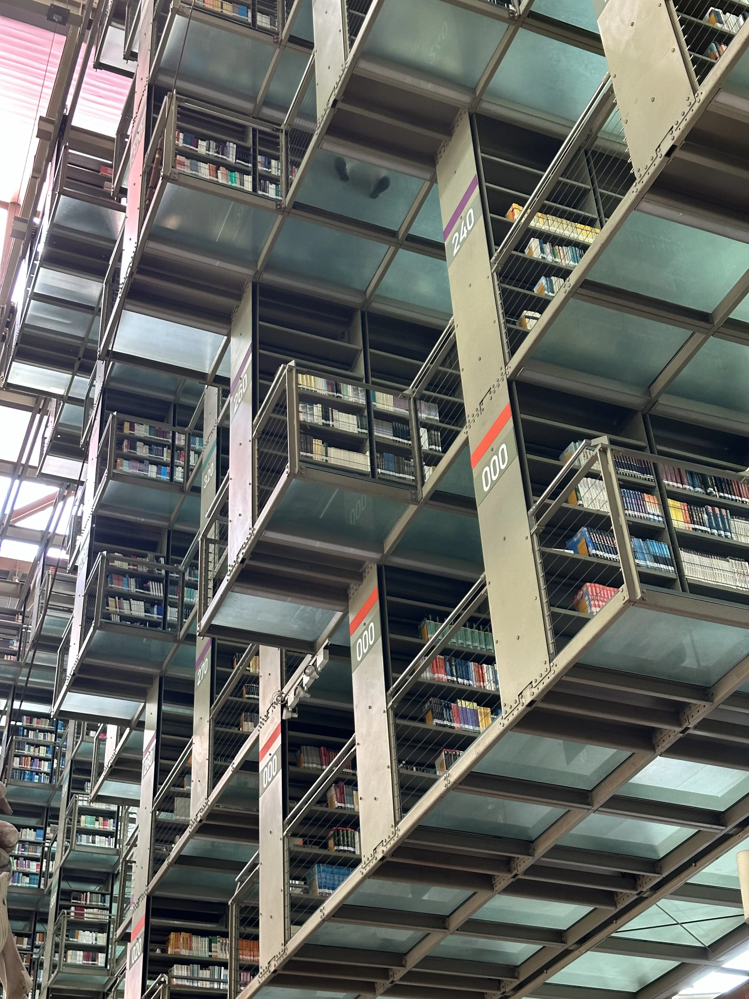 Vasconcelos Library Stacks Detail
