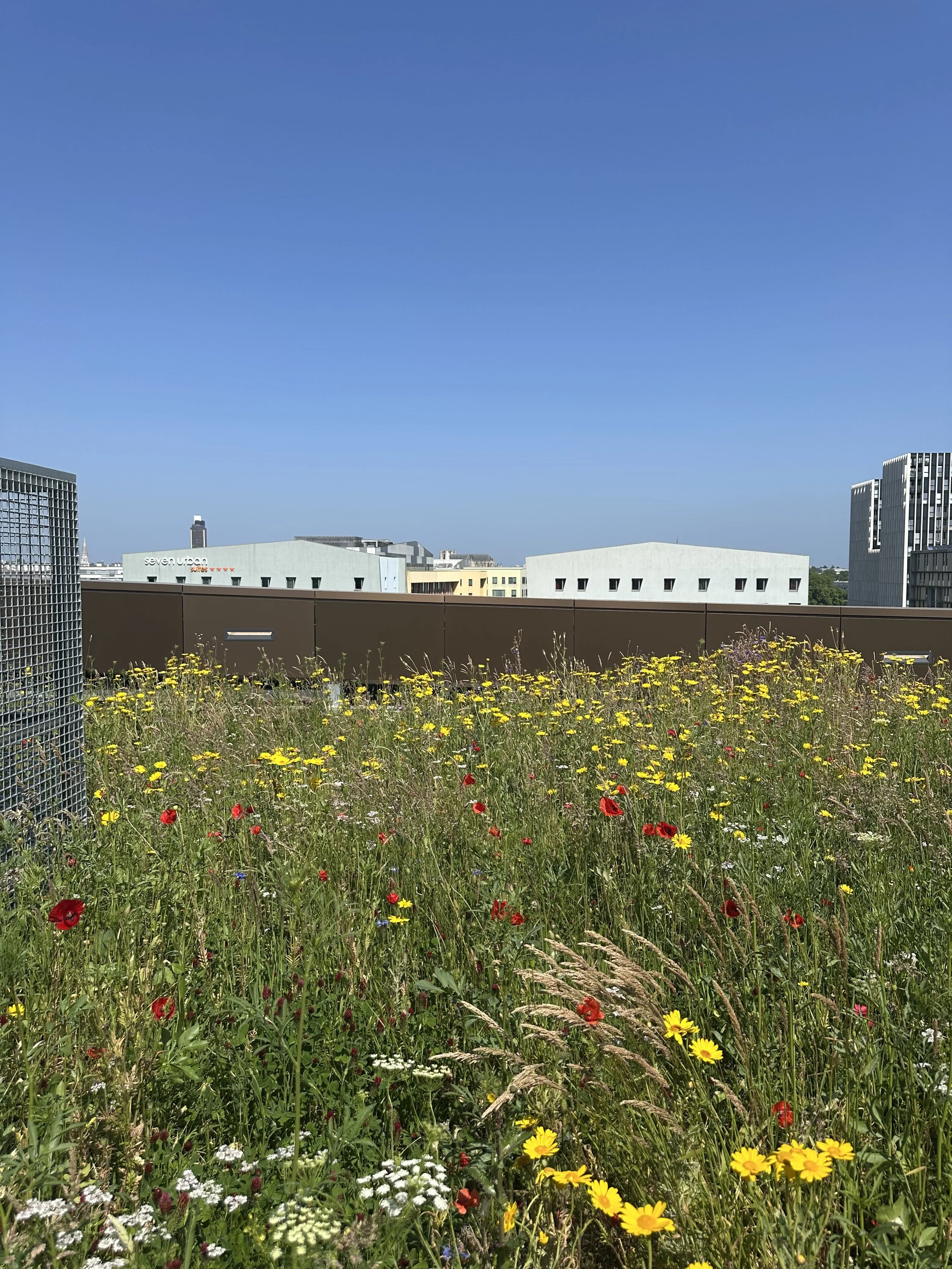 Eberle-Poste Building Rooftop Vegetated Bed overlooking an Adapted Industrial Zone