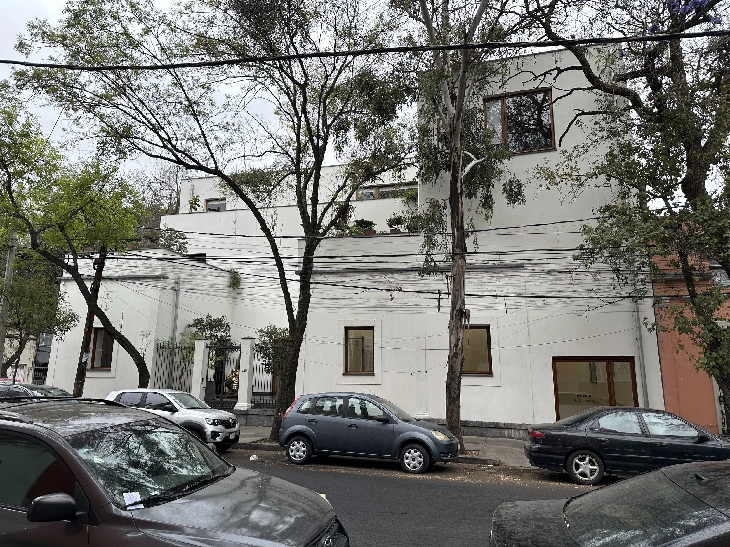 Alvaro Siza House Exterior from Street