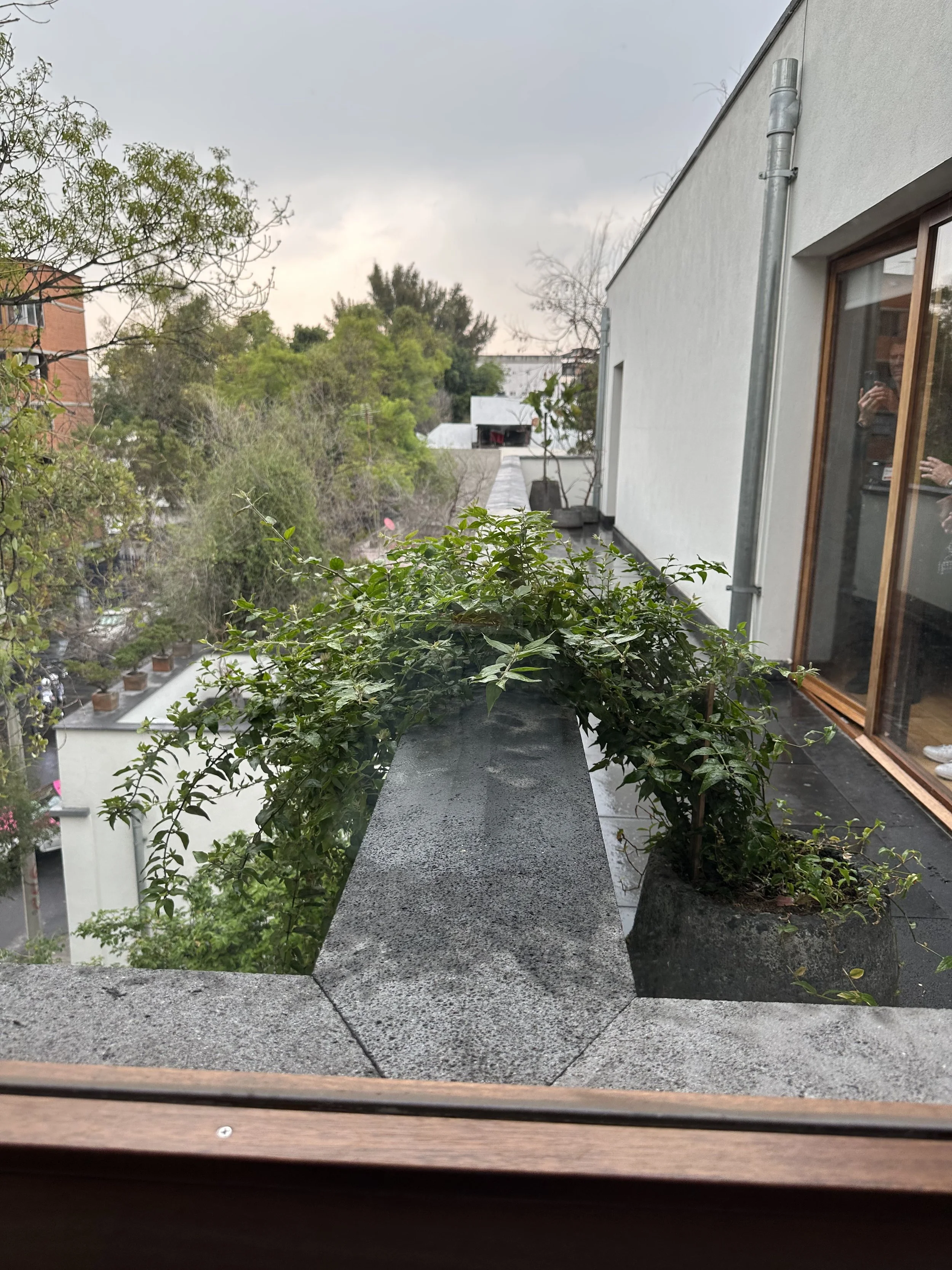 Alvaro Siza House Balcony with Plant