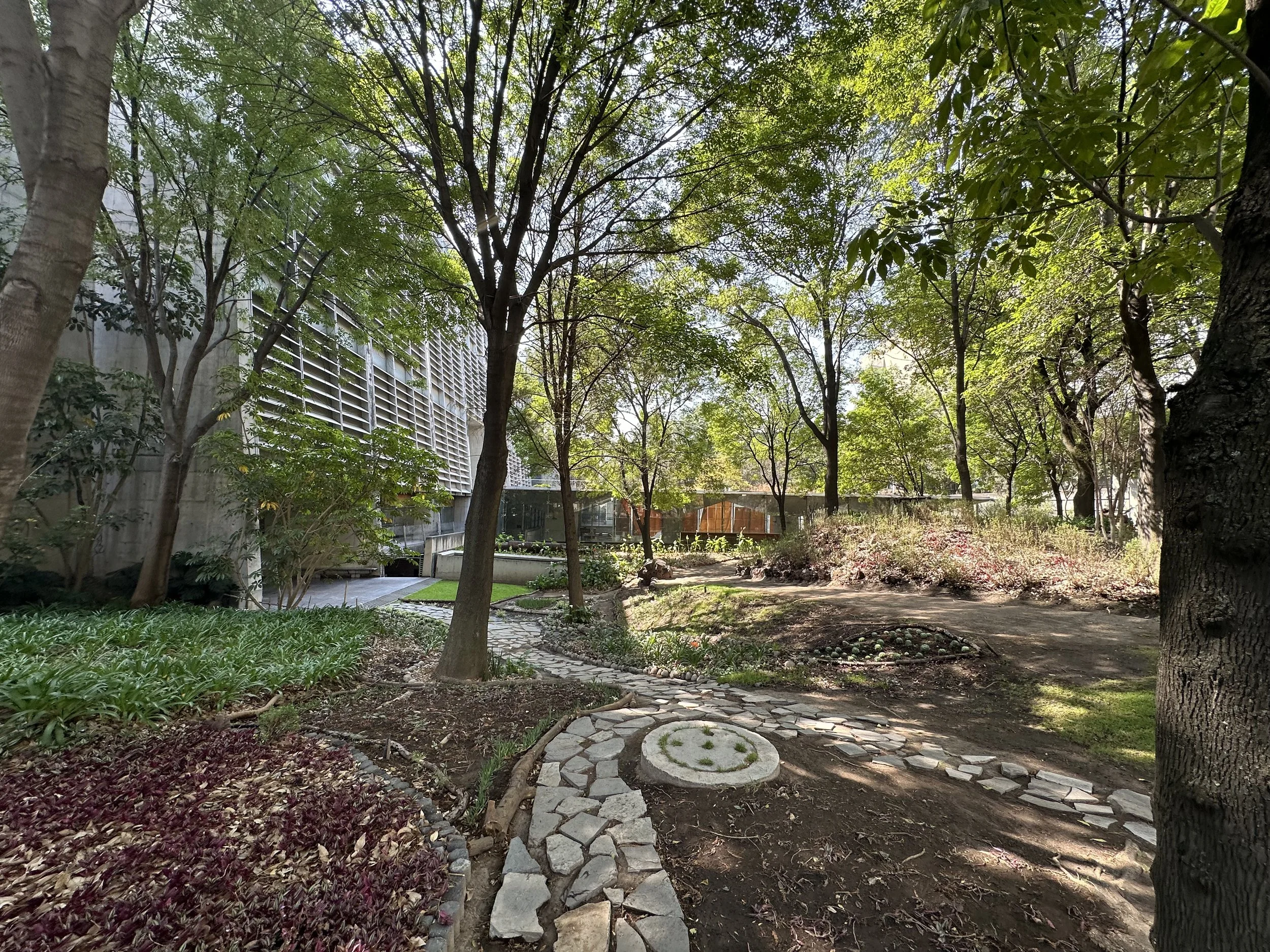 Vasconcelos Library Park