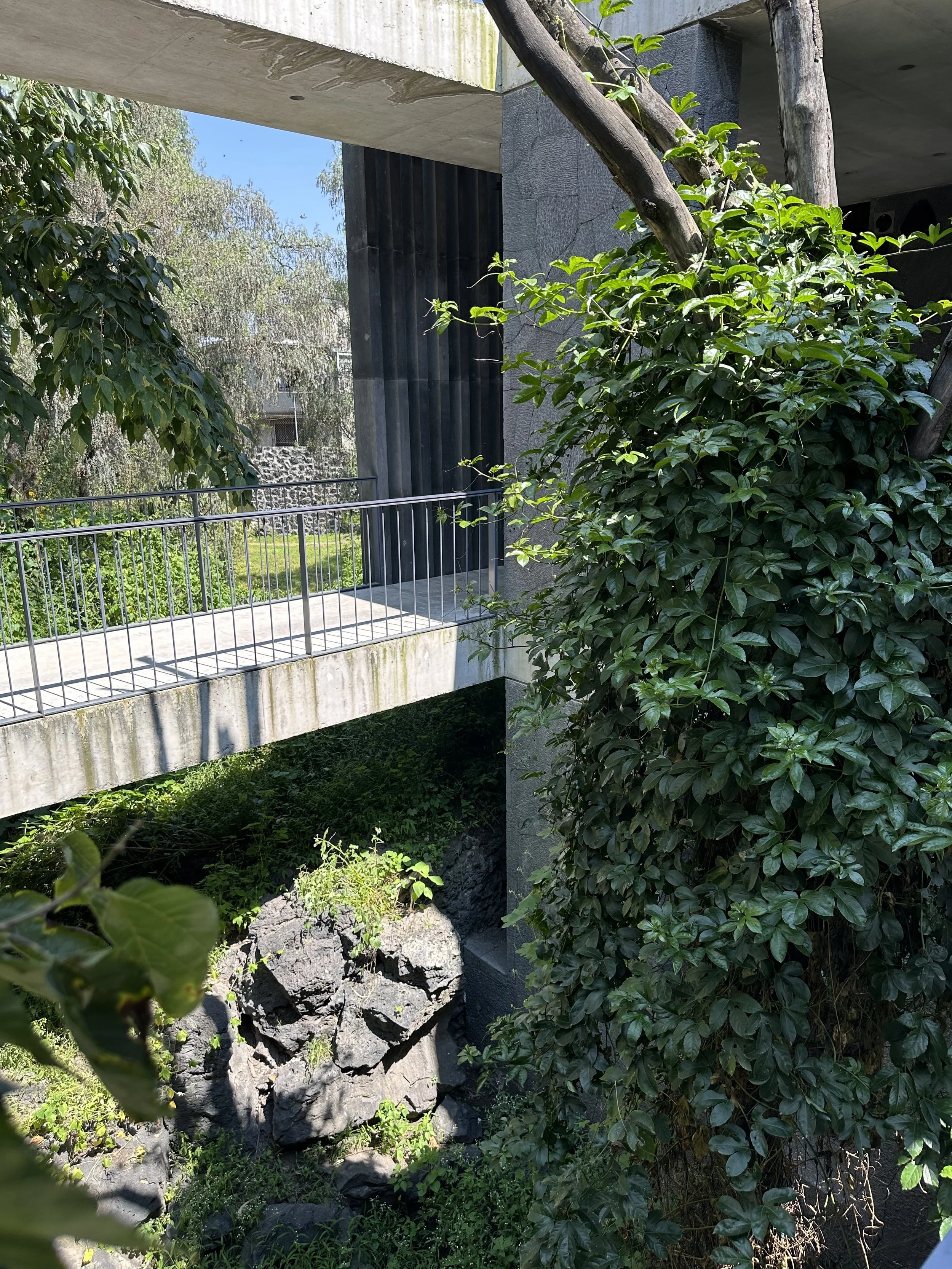 Mauricio Rocha Extention Bridge over Small Ravine
