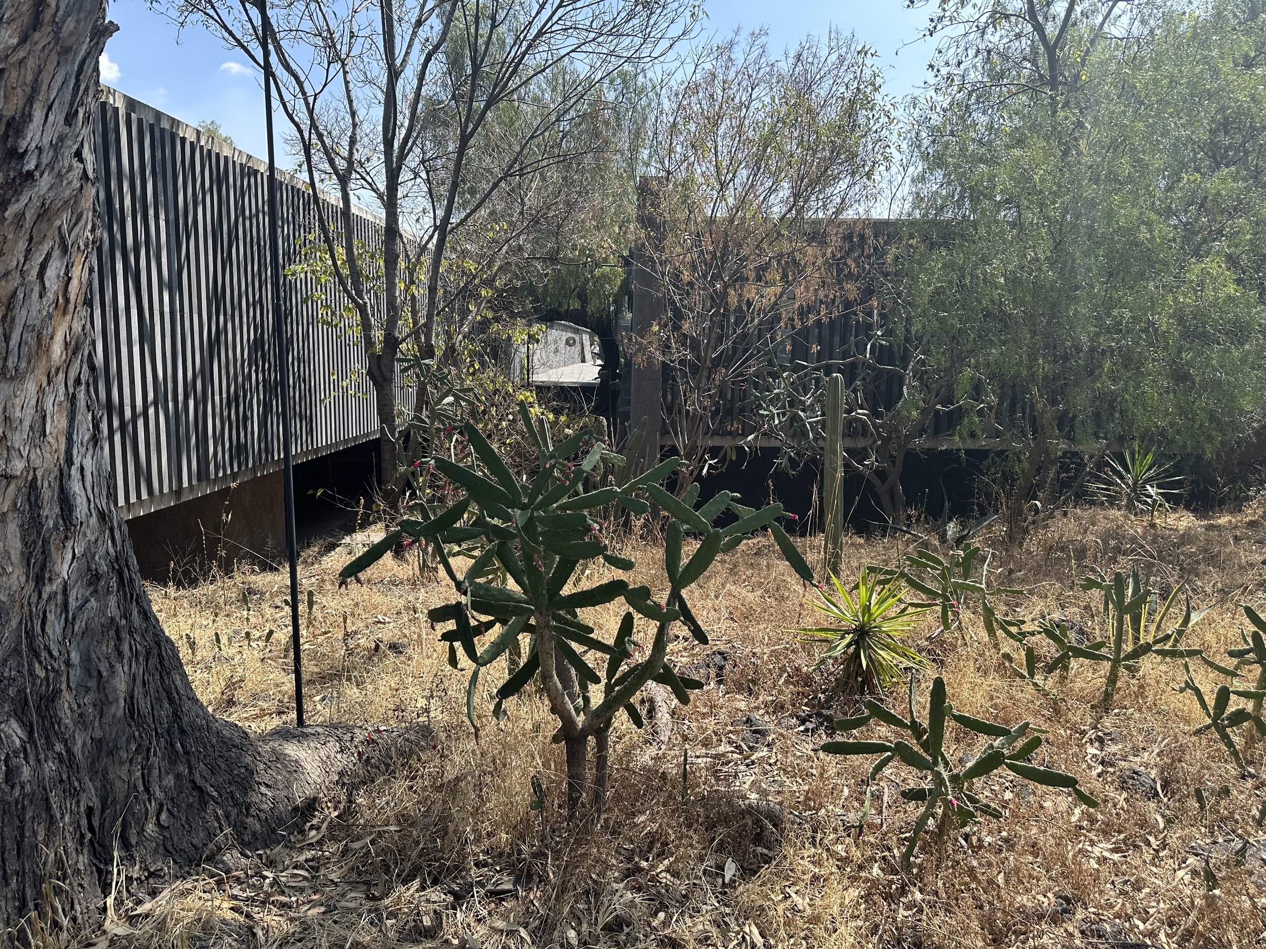 Mauricio Rocha Extention Exterior of Floating Rooms set into a Grassy Landscape