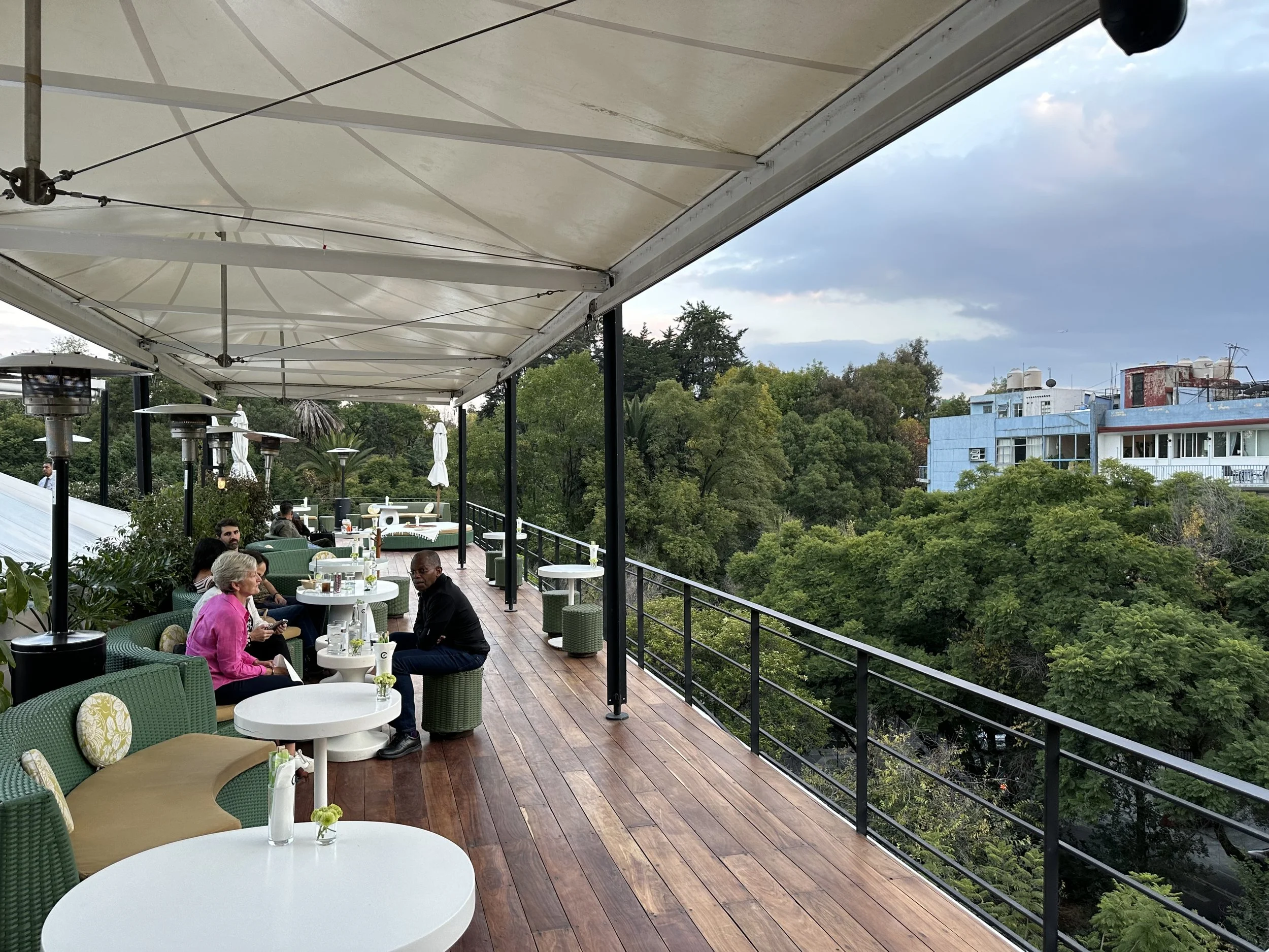 Hotel Condesa Roof Patio