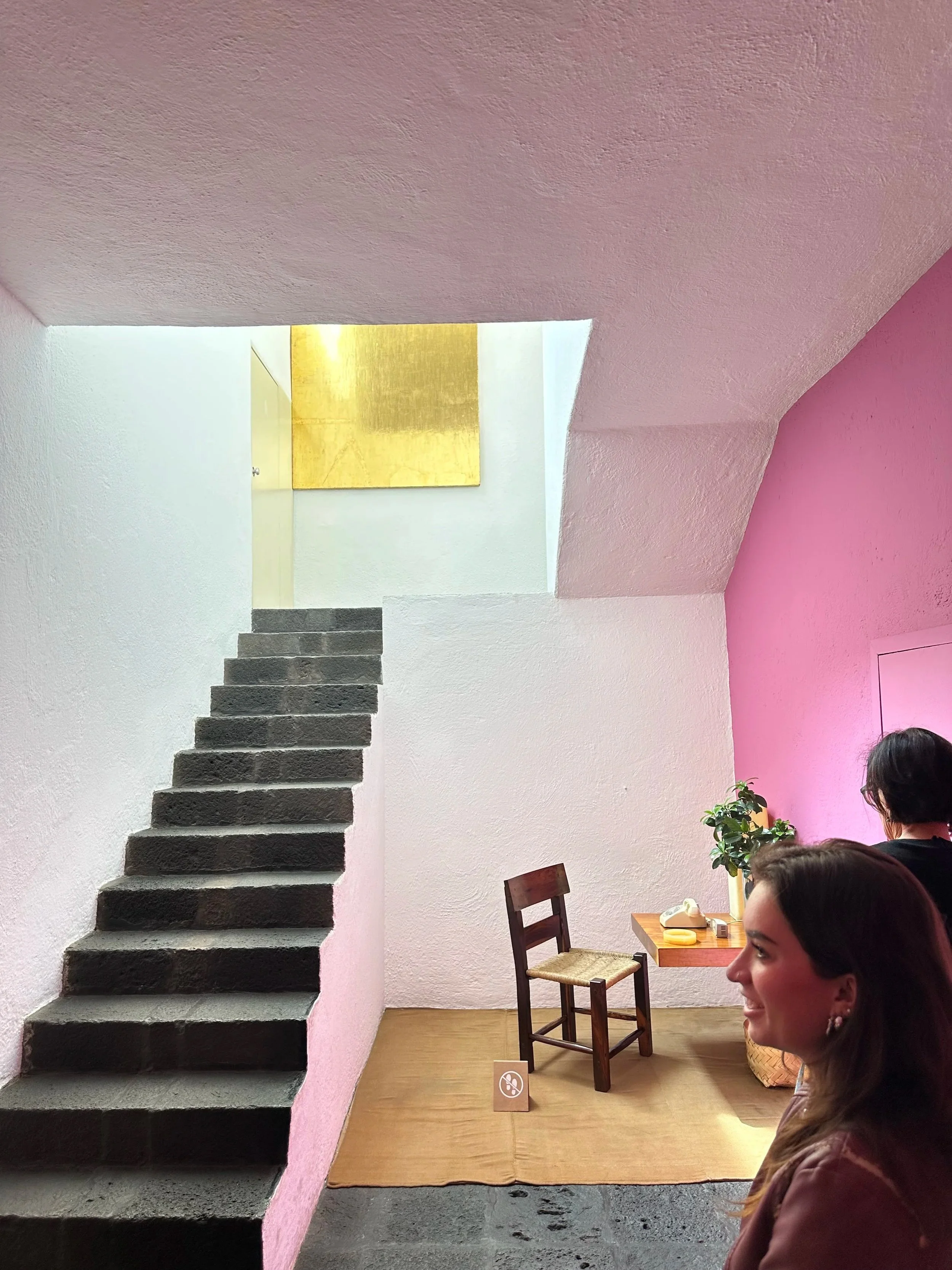 Baragan House Interior