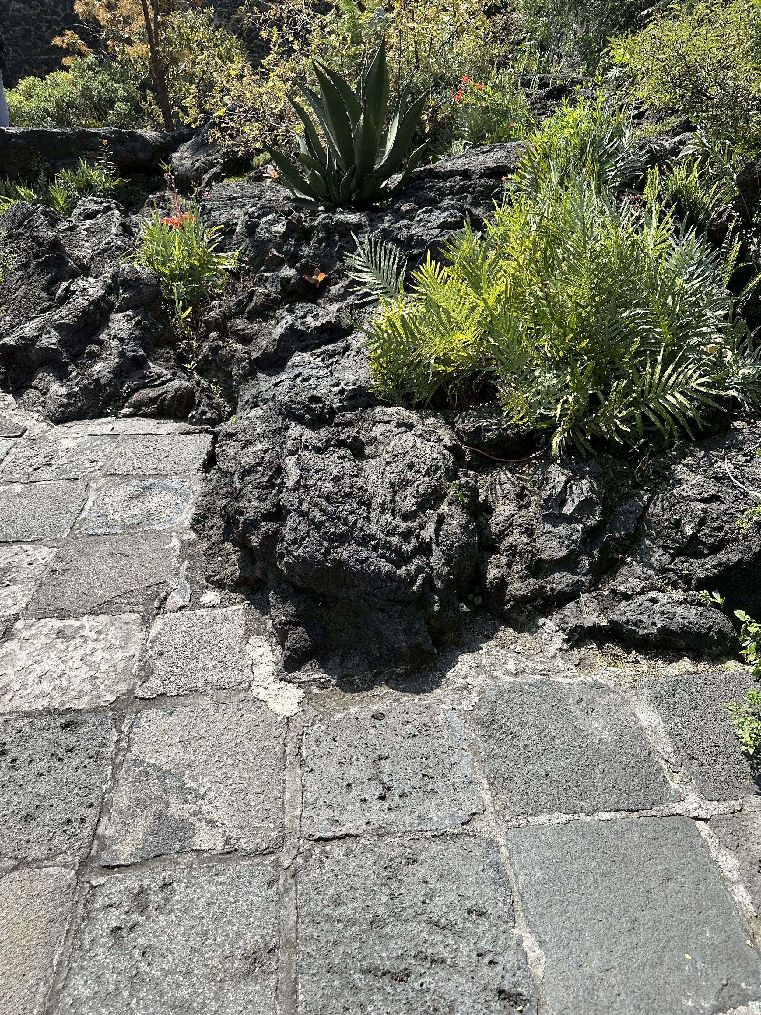 Prieto Paving Connecting to Volcanic Rock