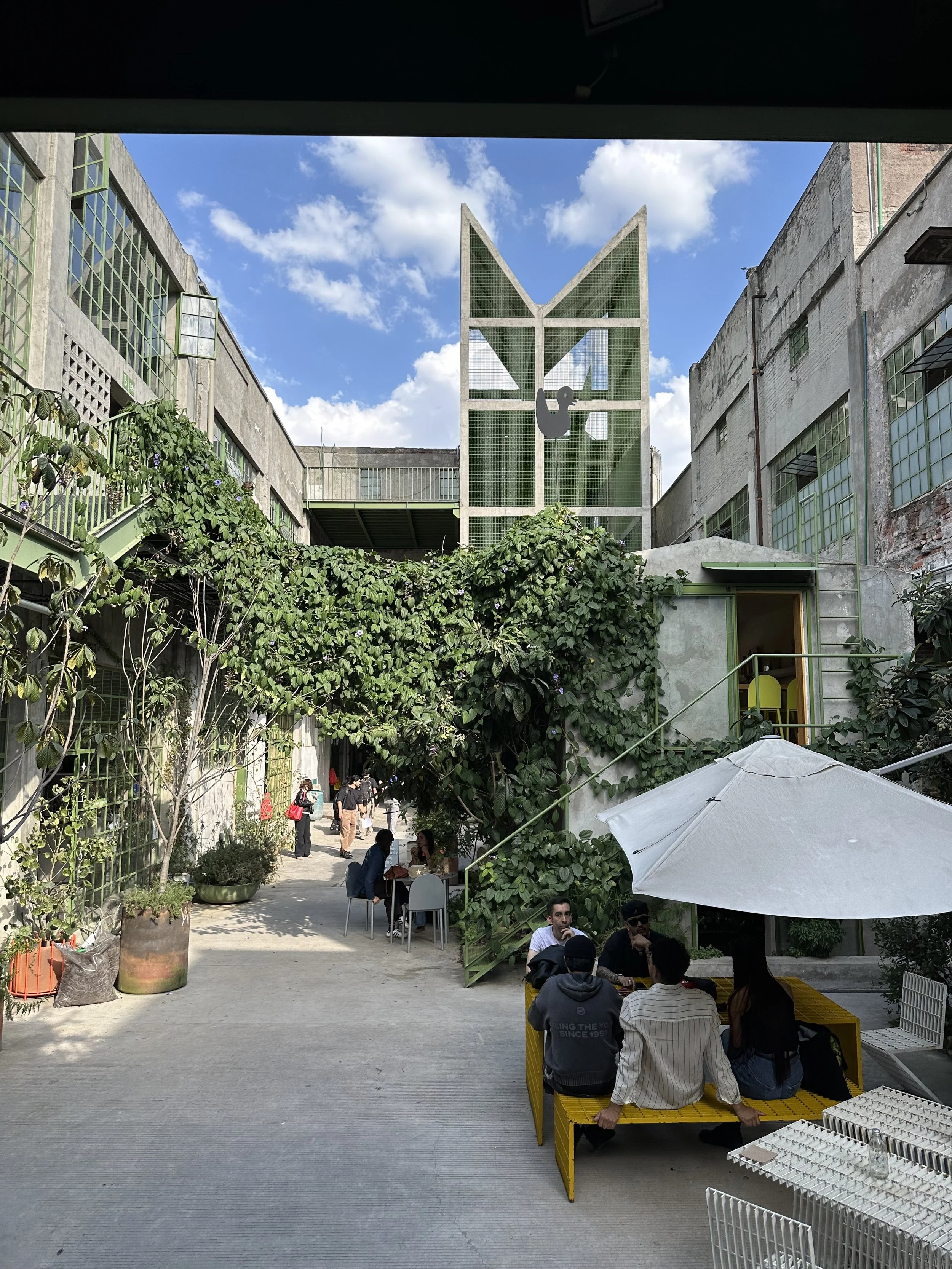 Laguna Development Courtyard