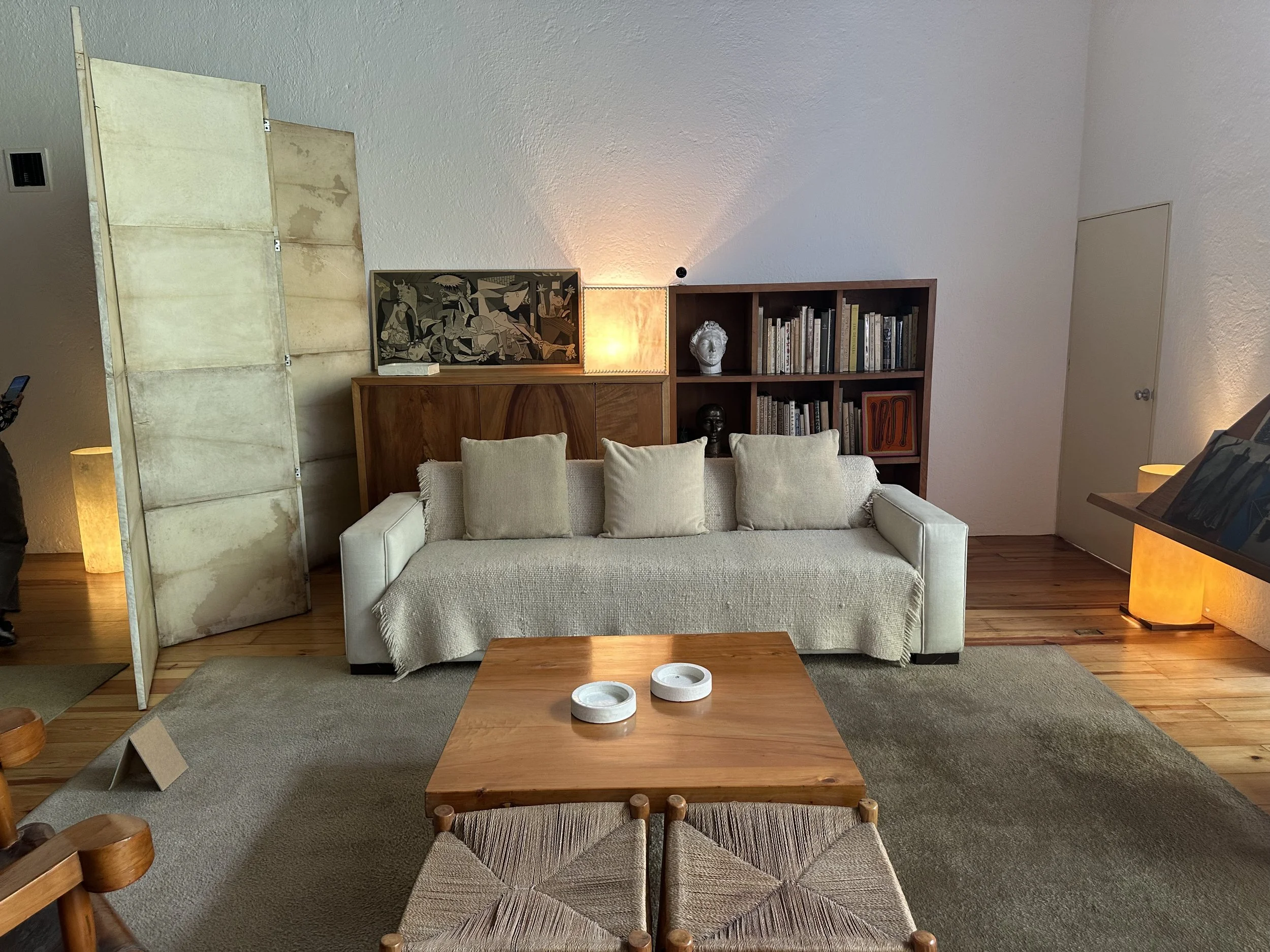 Baragan House Interior