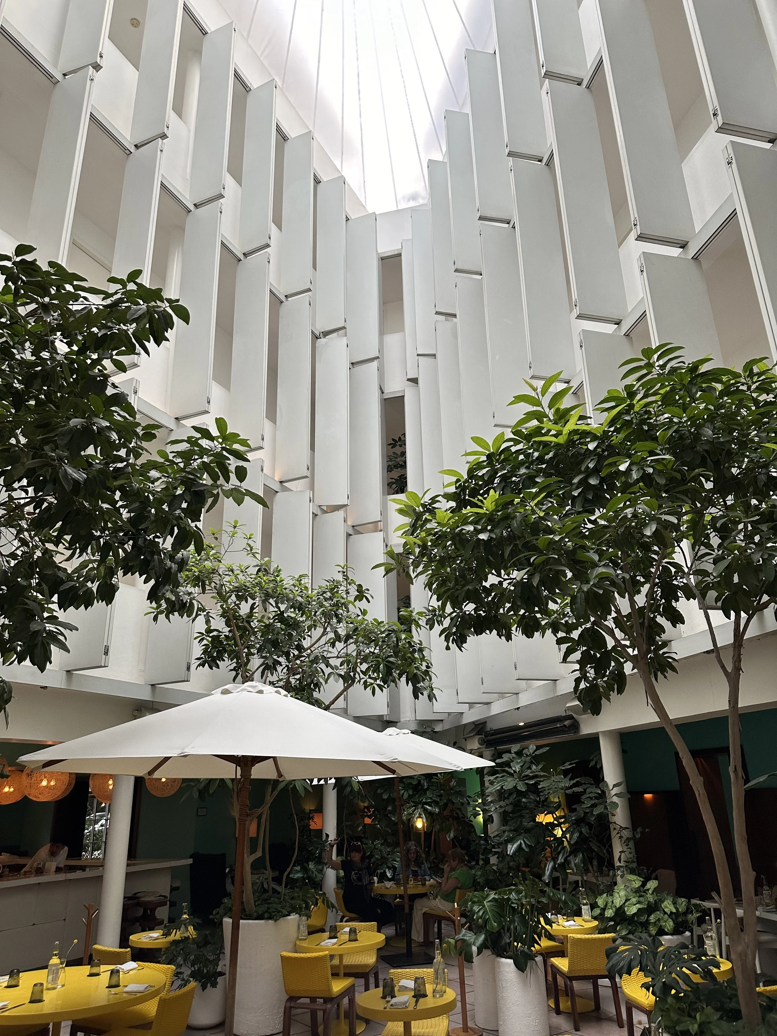 Hotel Condesa Atrium