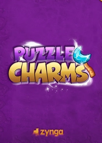 Puzzle Charms