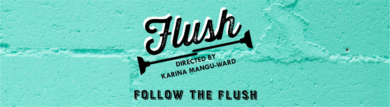 FLUSH The Documentary