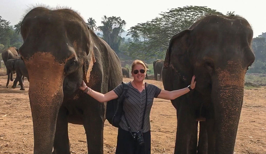 Tess at the pinnawala elephant orphanage in sri lanka
