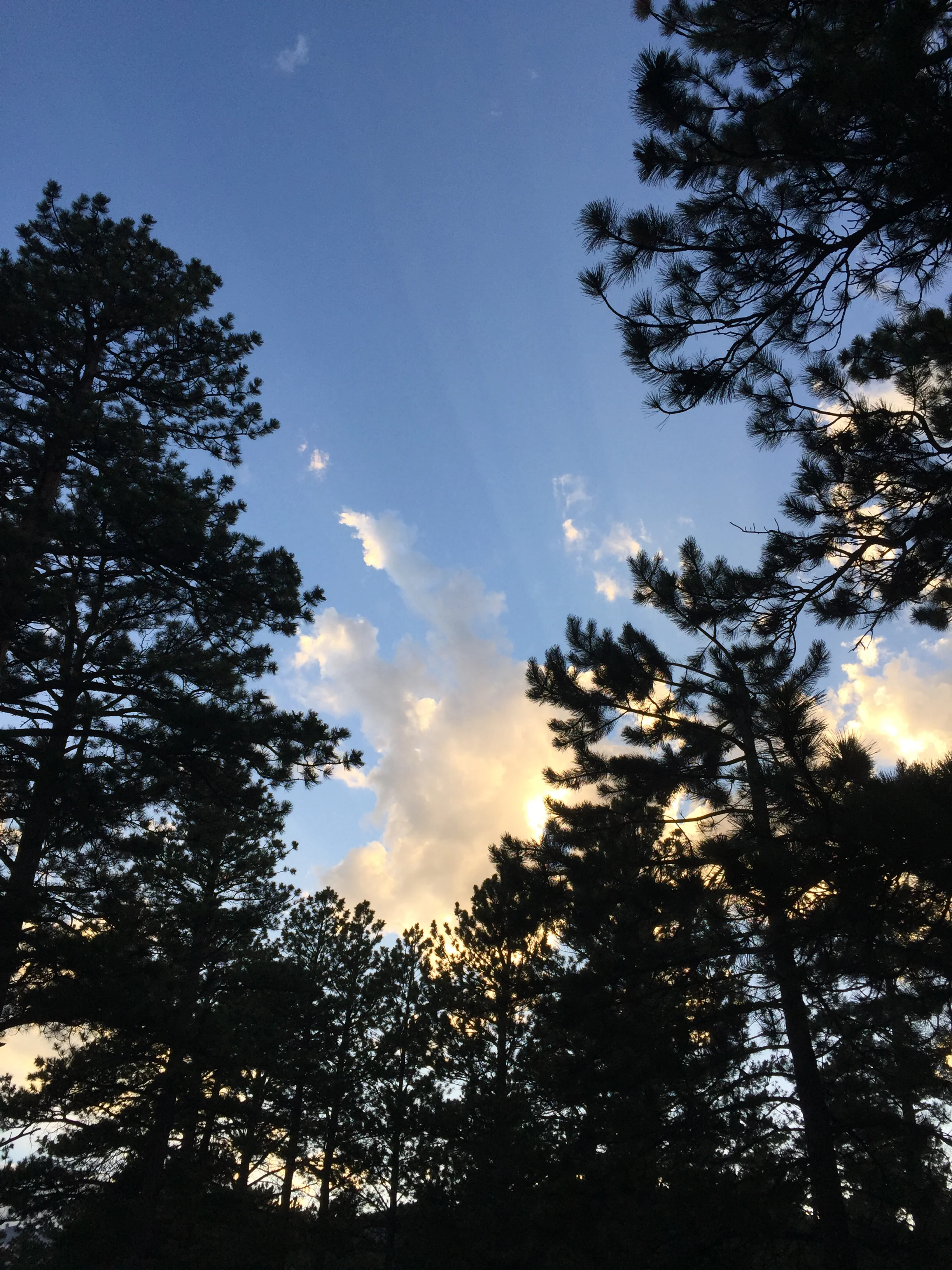 Proverbs From a Road Trip