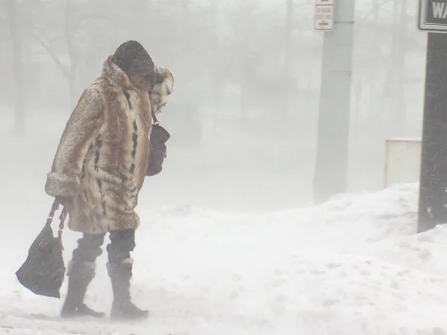 The Fur Coats