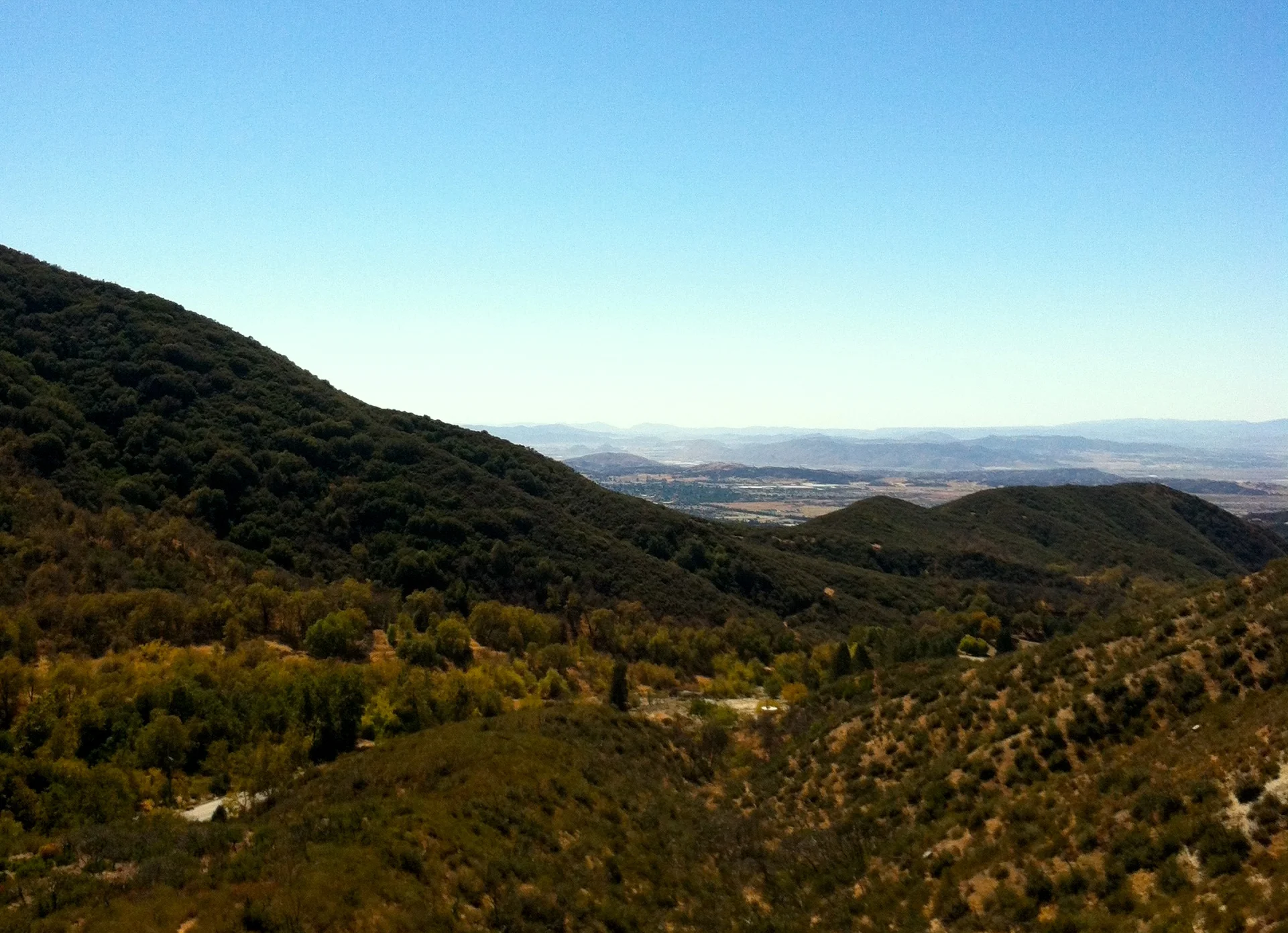 Observing Lent From a Different Perspective (an Ode to Ash Wednesday)...