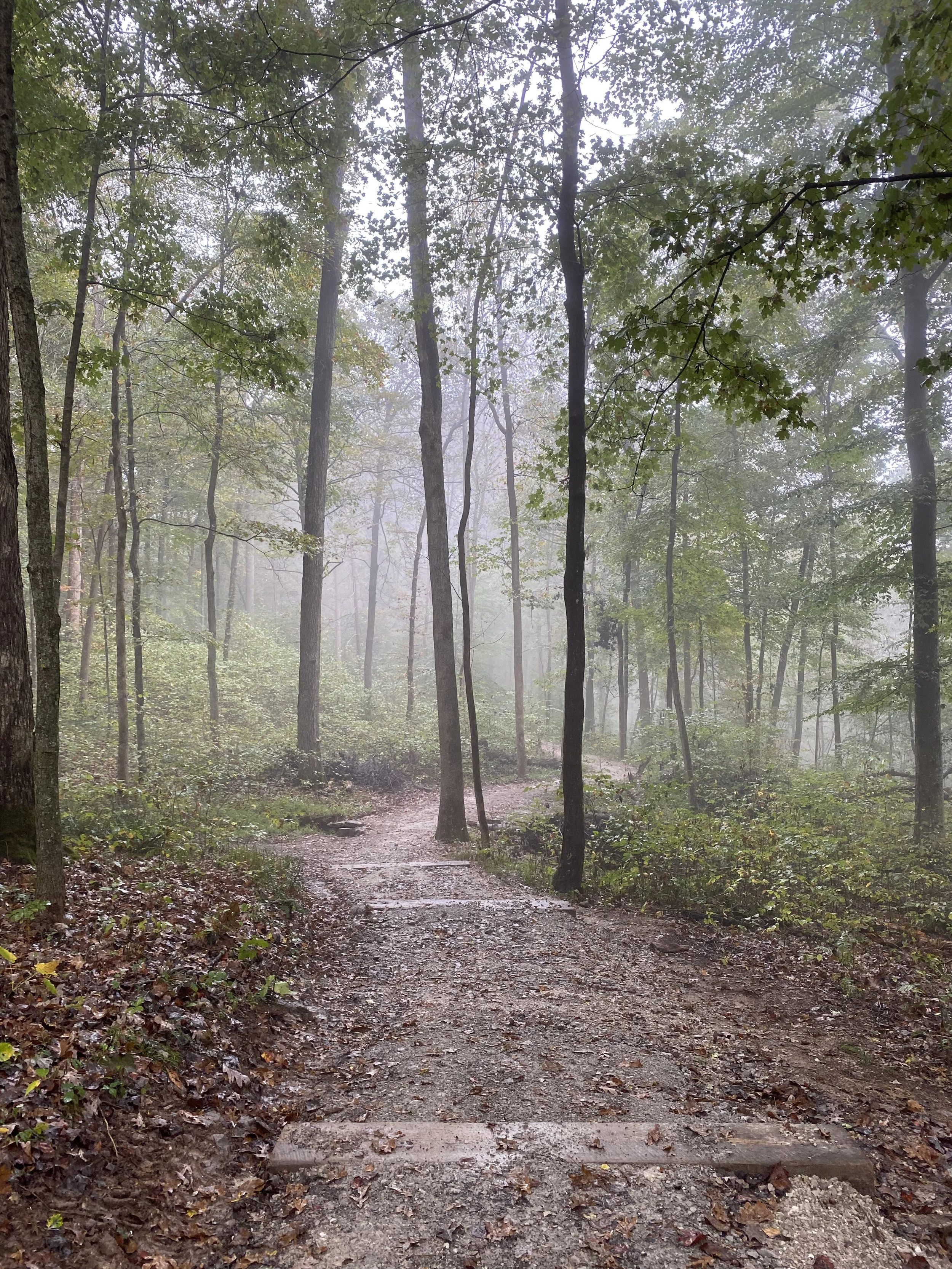 The Truth About Ourselves