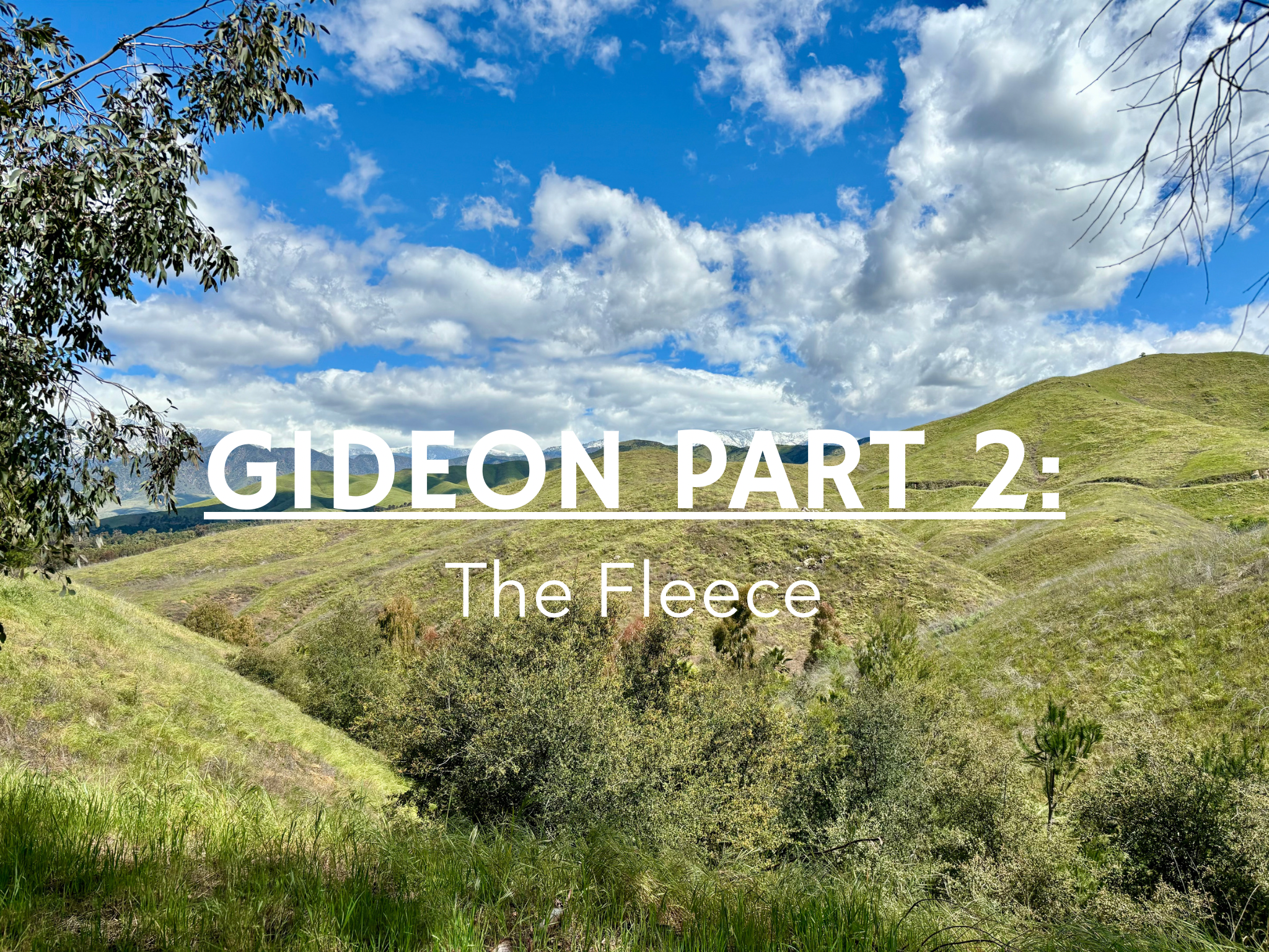 Gideon Part 2: The Fleece