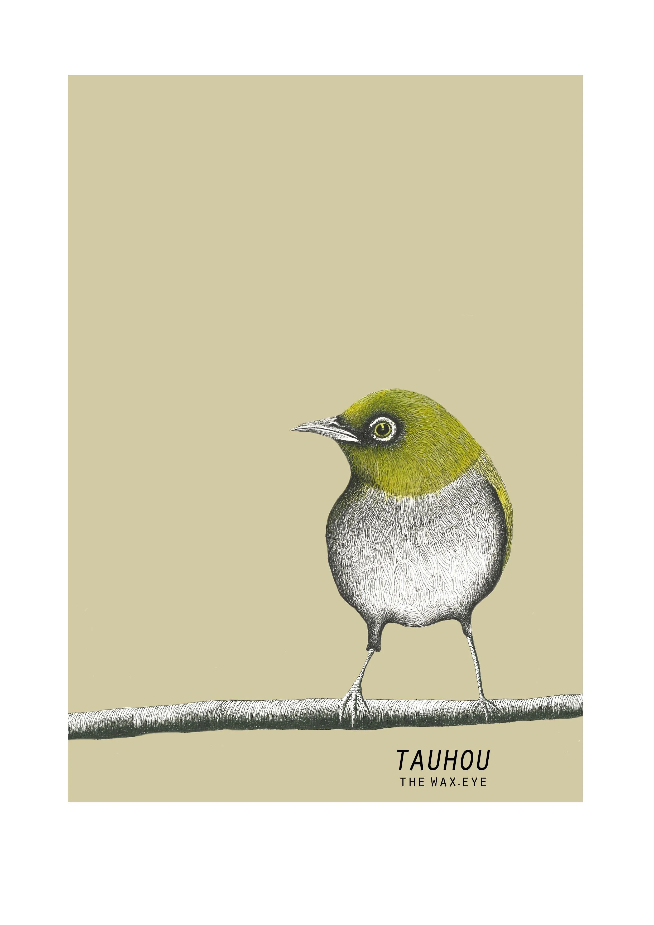 'Tauhou (Wax-eye)'