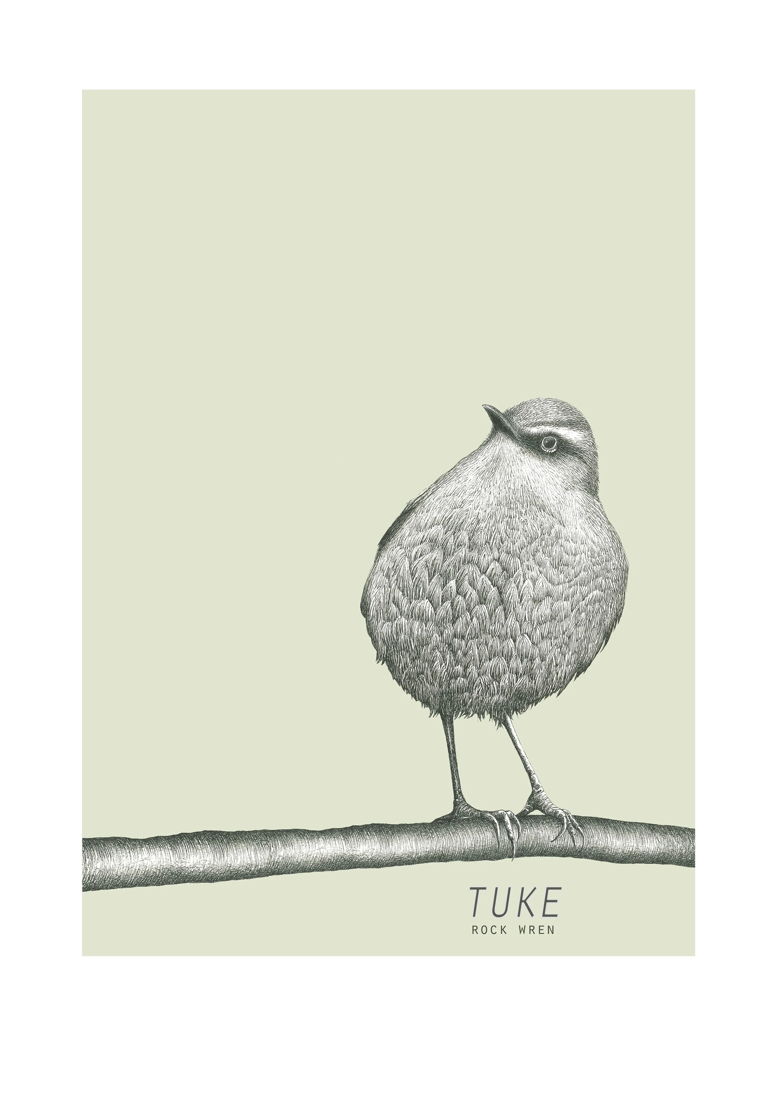 'Tuke'