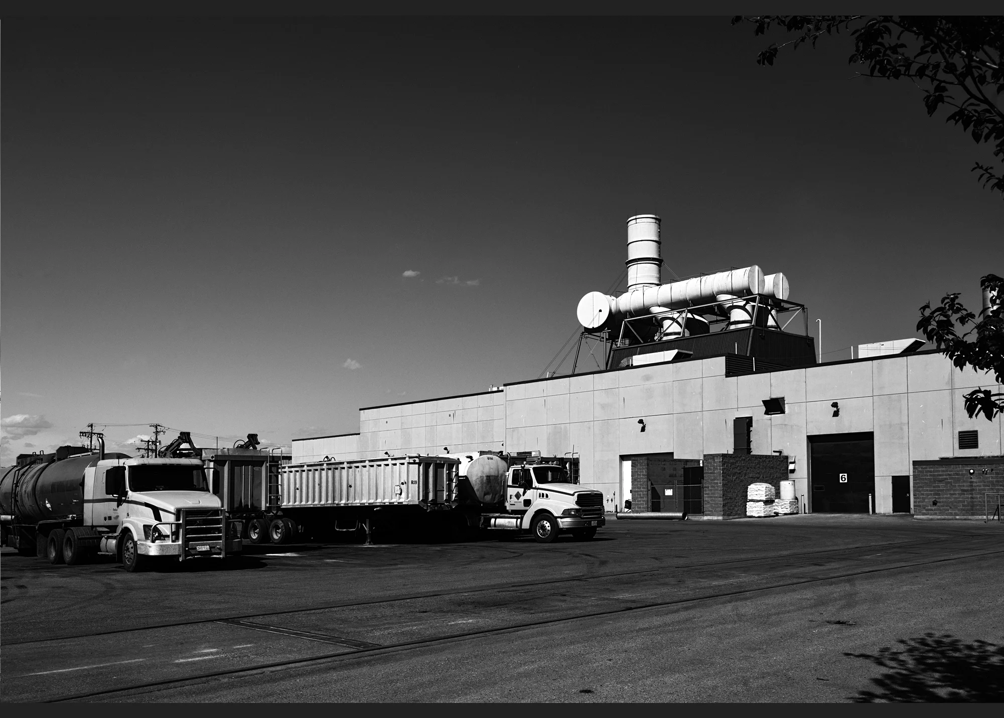 stoon-bw_plant.jpg