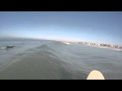 Longboards and single fins
