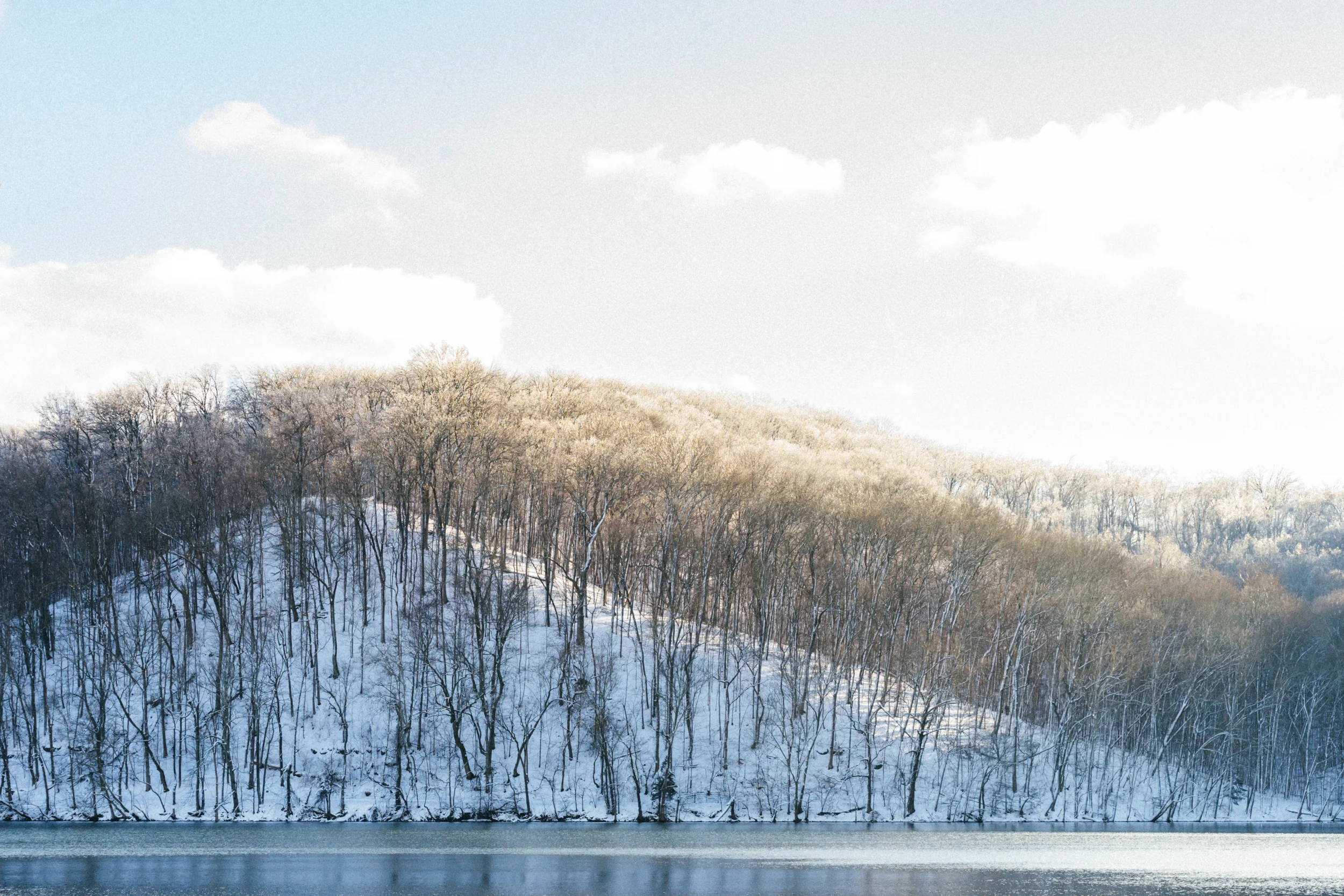 Radnor Lake - Snow Edition