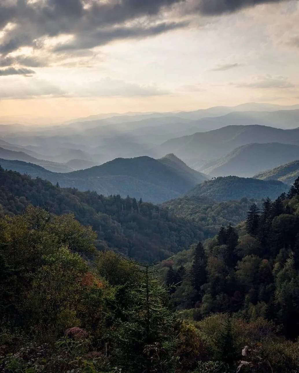 Nashville, TN to Highlands, NC today.
📷 @ben_gilliland_
