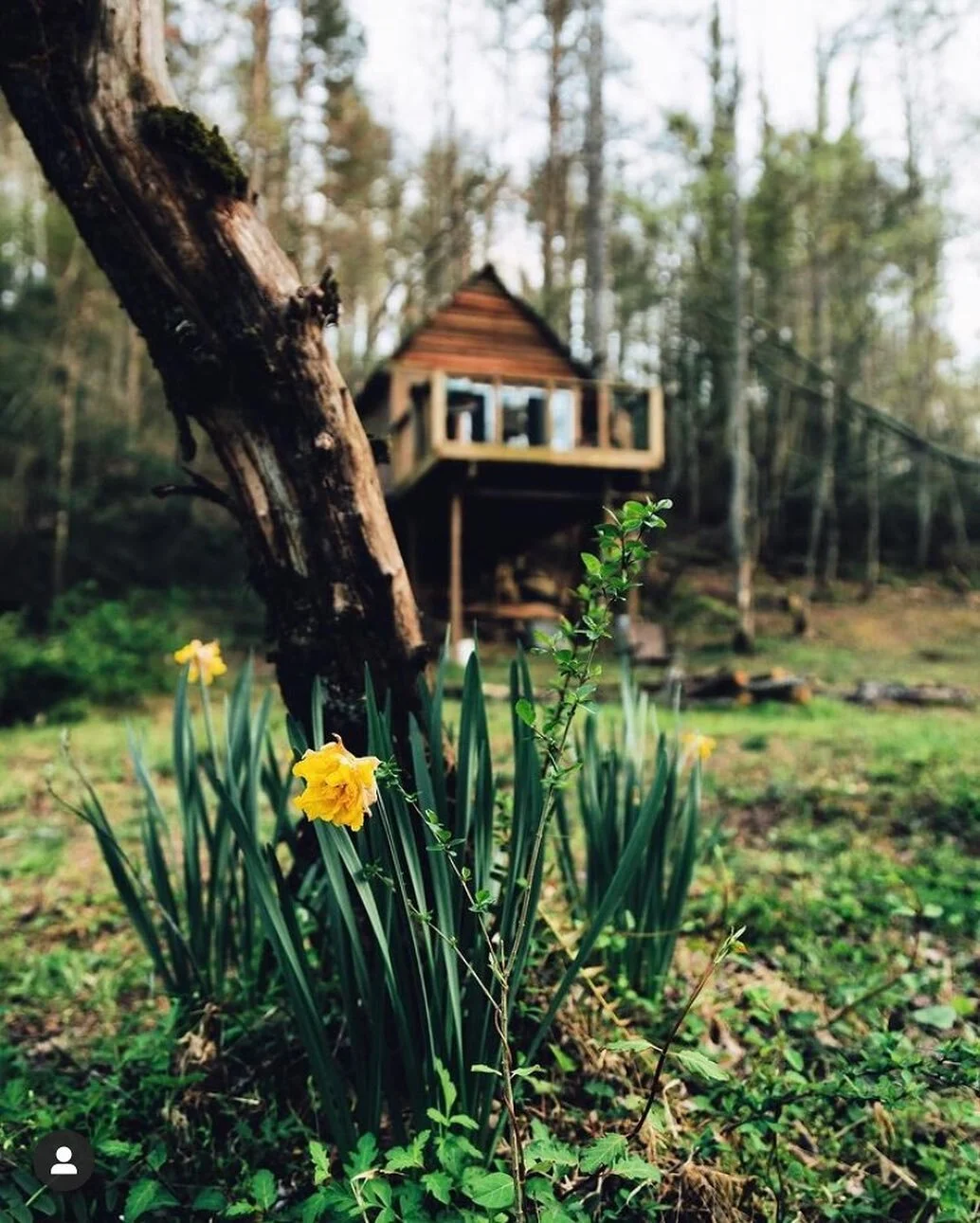 Feels like spring is happening y&rsquo;all.
📷 @hungqta