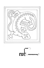 newt_bw copy.jpg