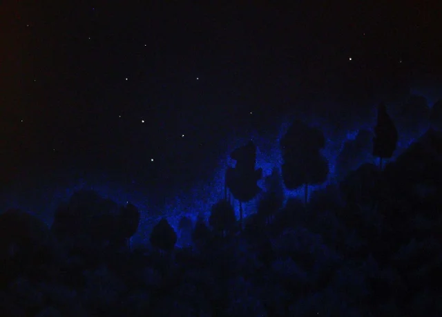 Night Sky.jpg