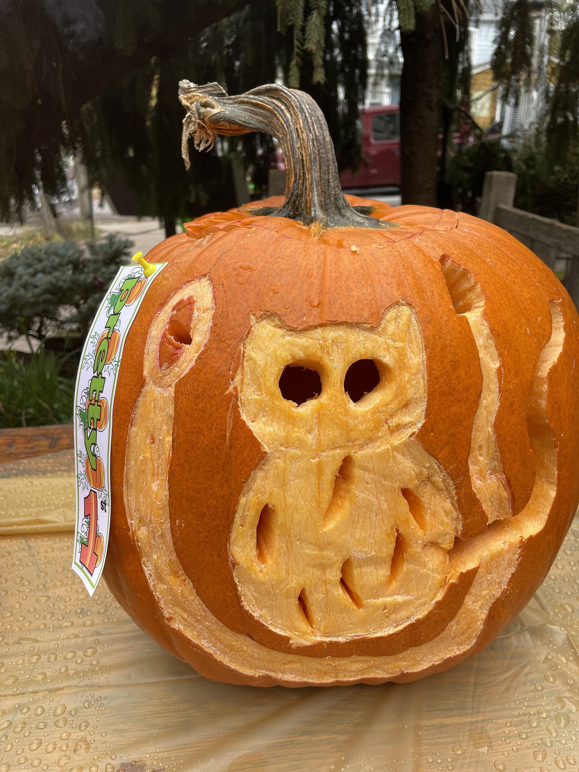 pumpkin15.jpg