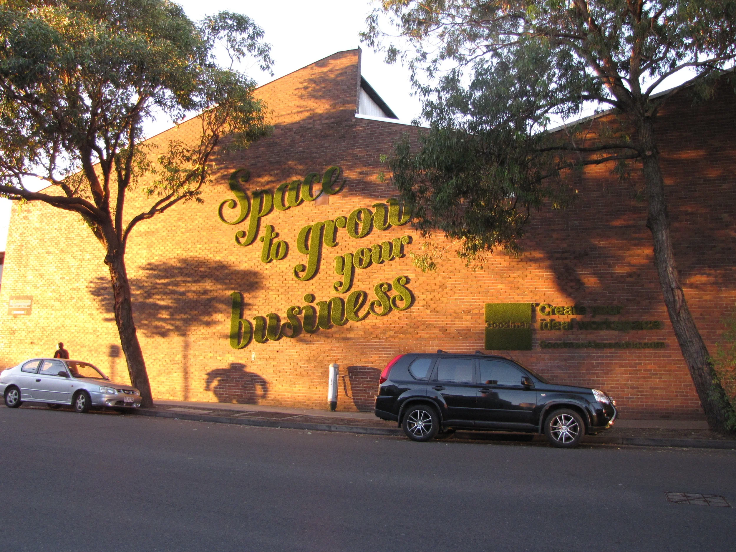 Goodman Alexandria