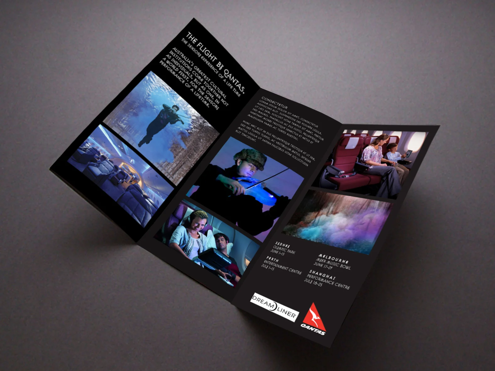 DL brochure inside spread.jpg