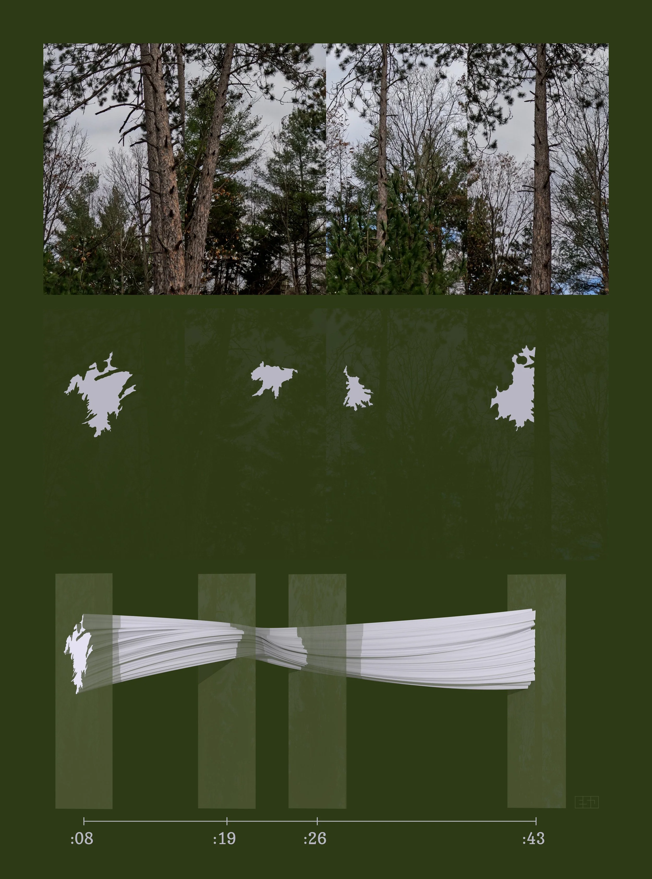 At_Forests_Edge_web.jpg