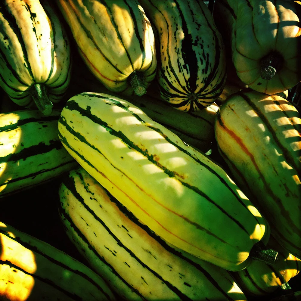 Veg-squash.jpg